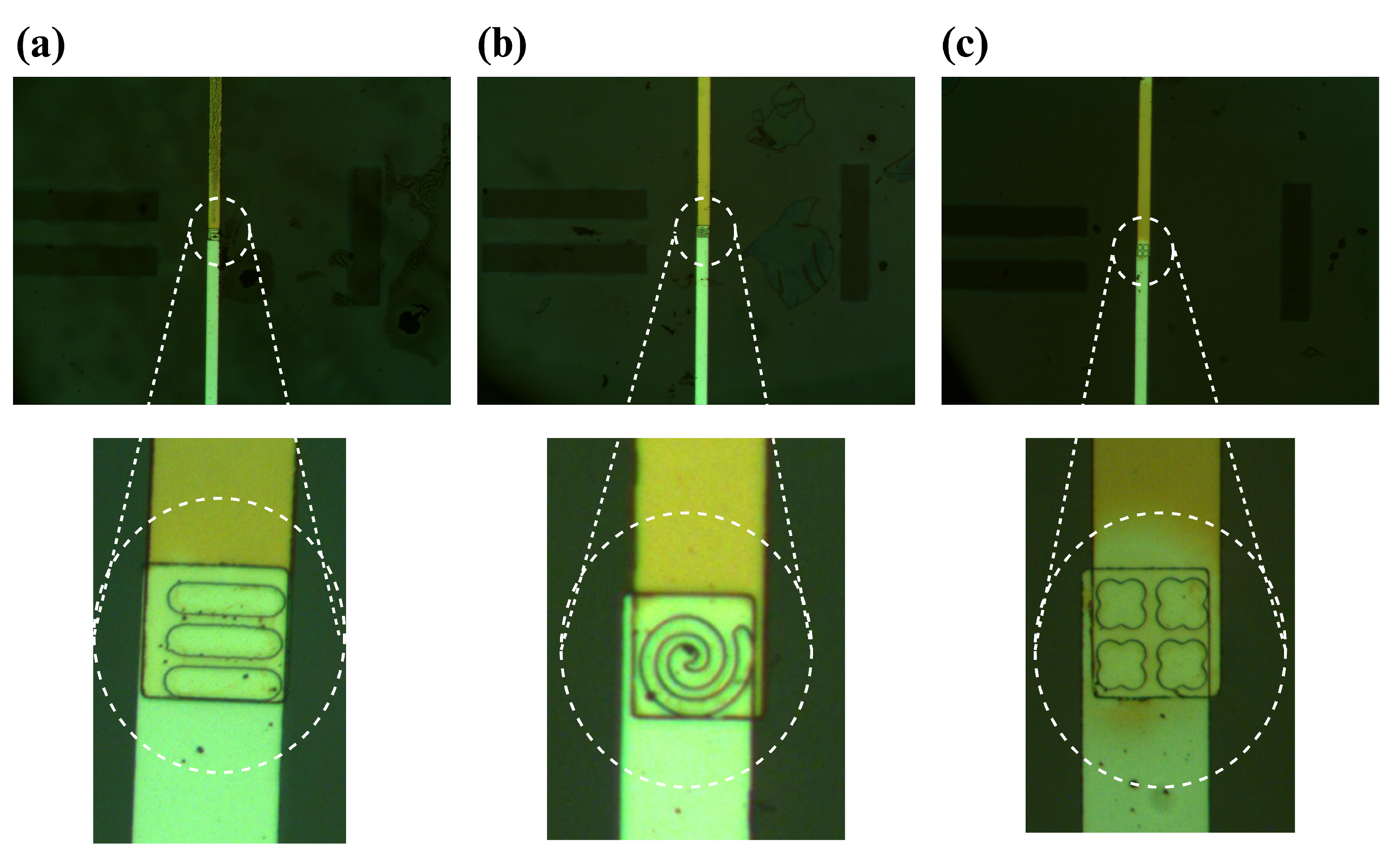 Biosensors 14 00426 g004