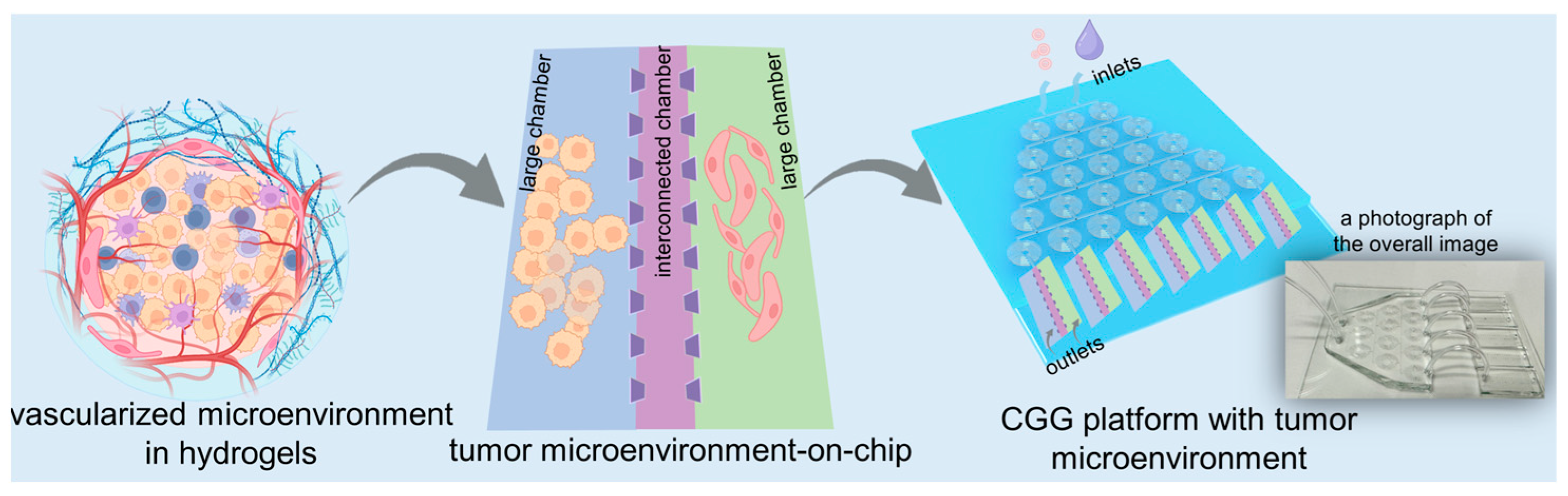 Biosensors 14 00429 g001
