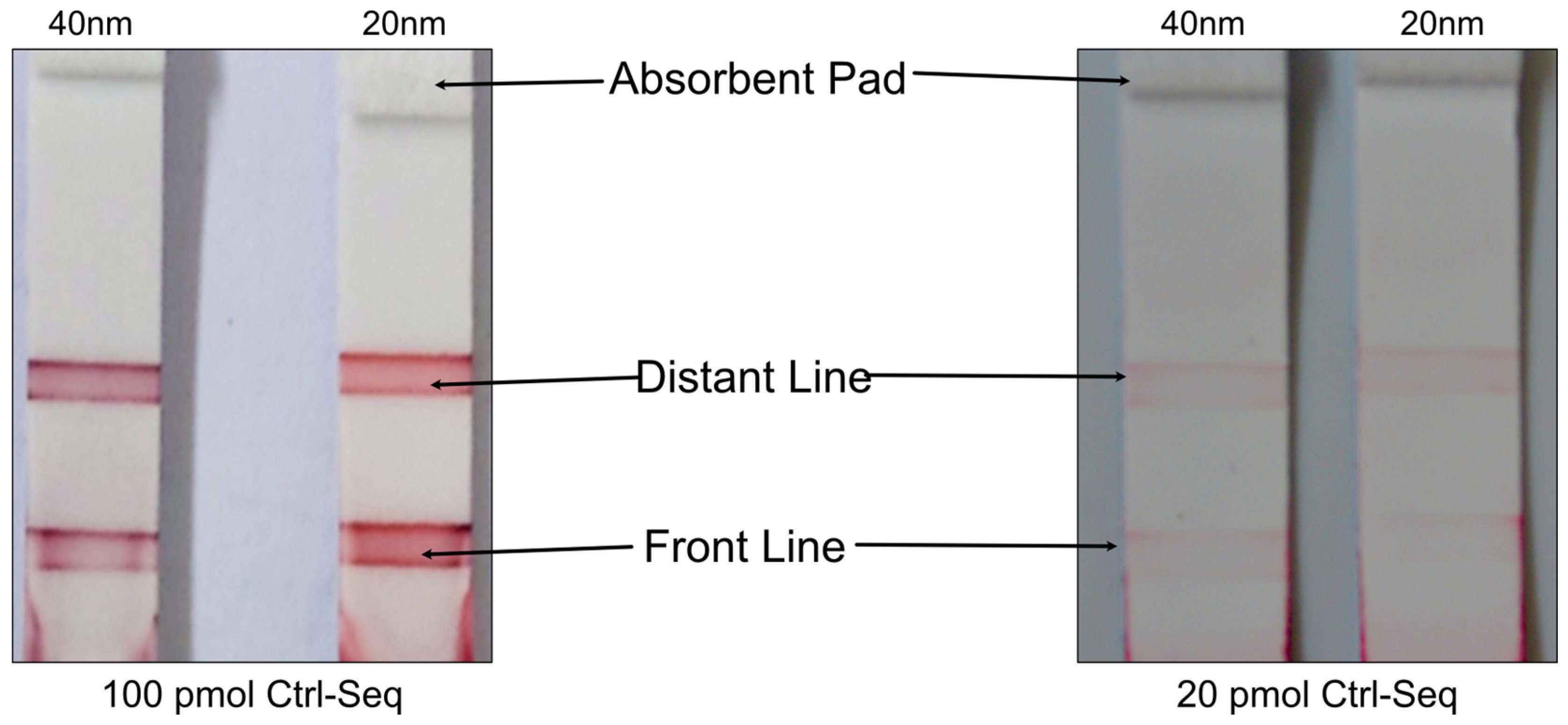 Biosensors 14 00430 g007