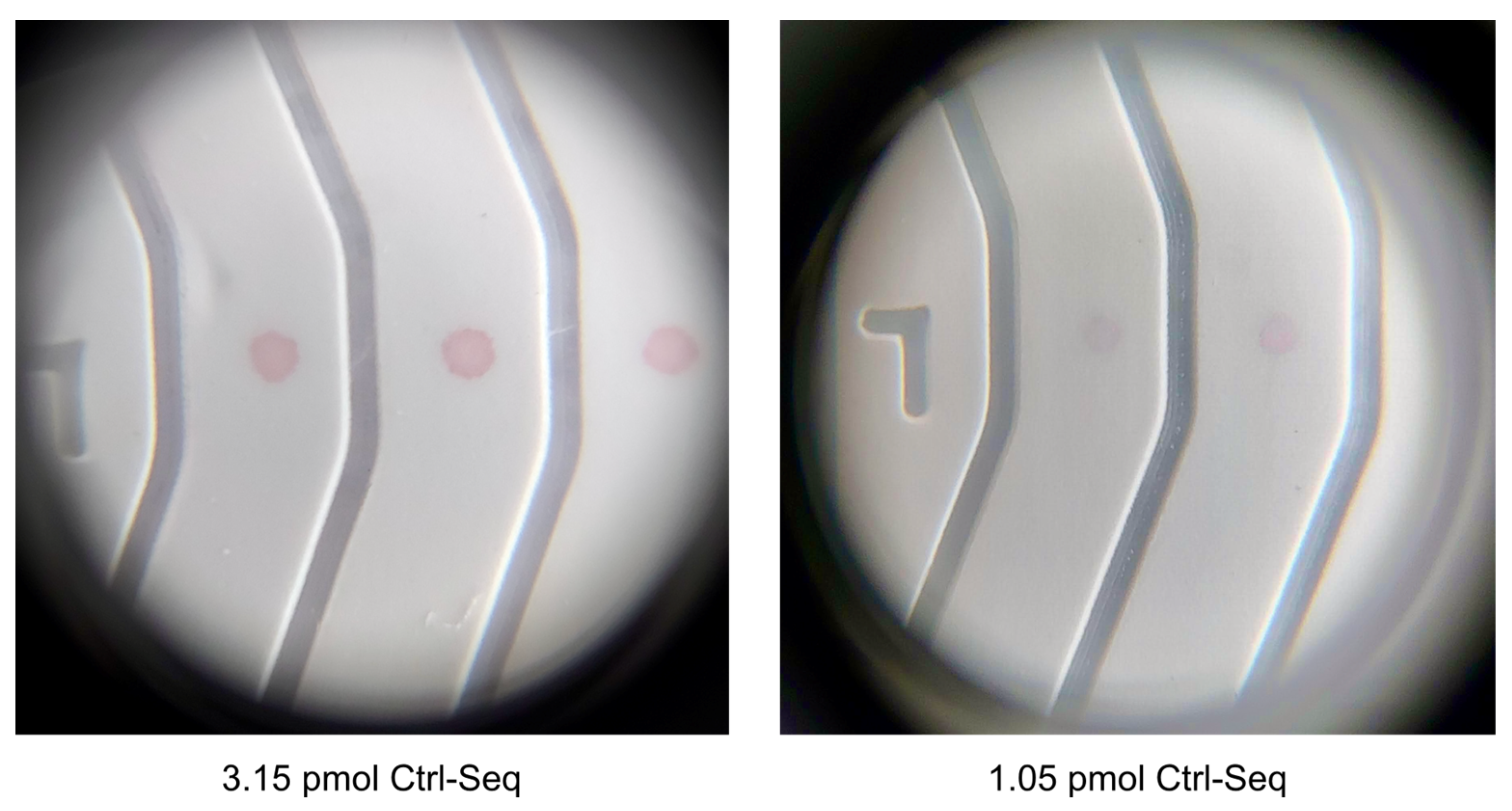 Biosensors 14 00430 g008