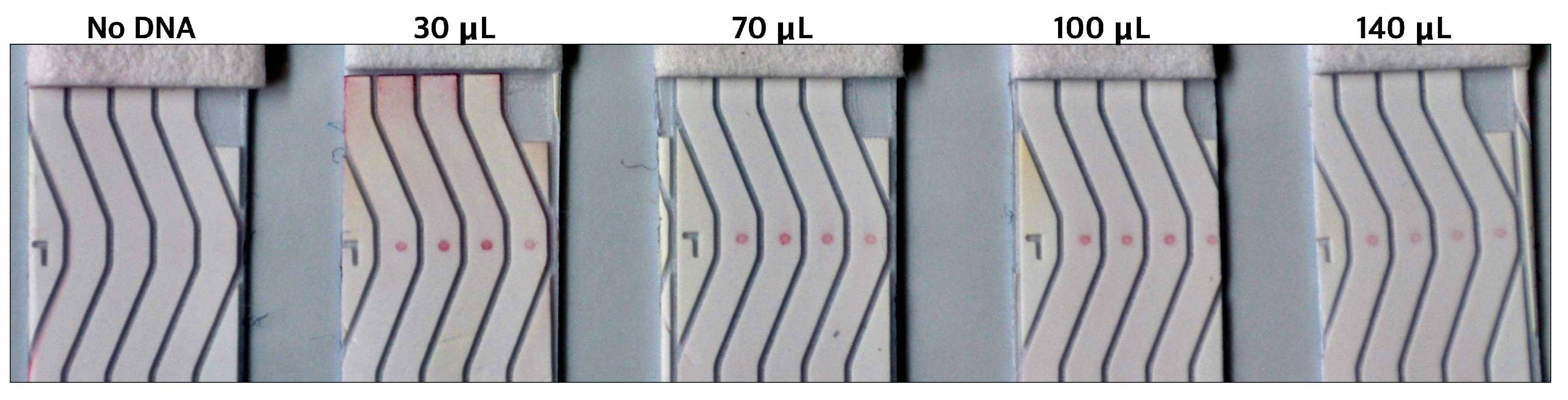 Biosensors 14 00430 g010