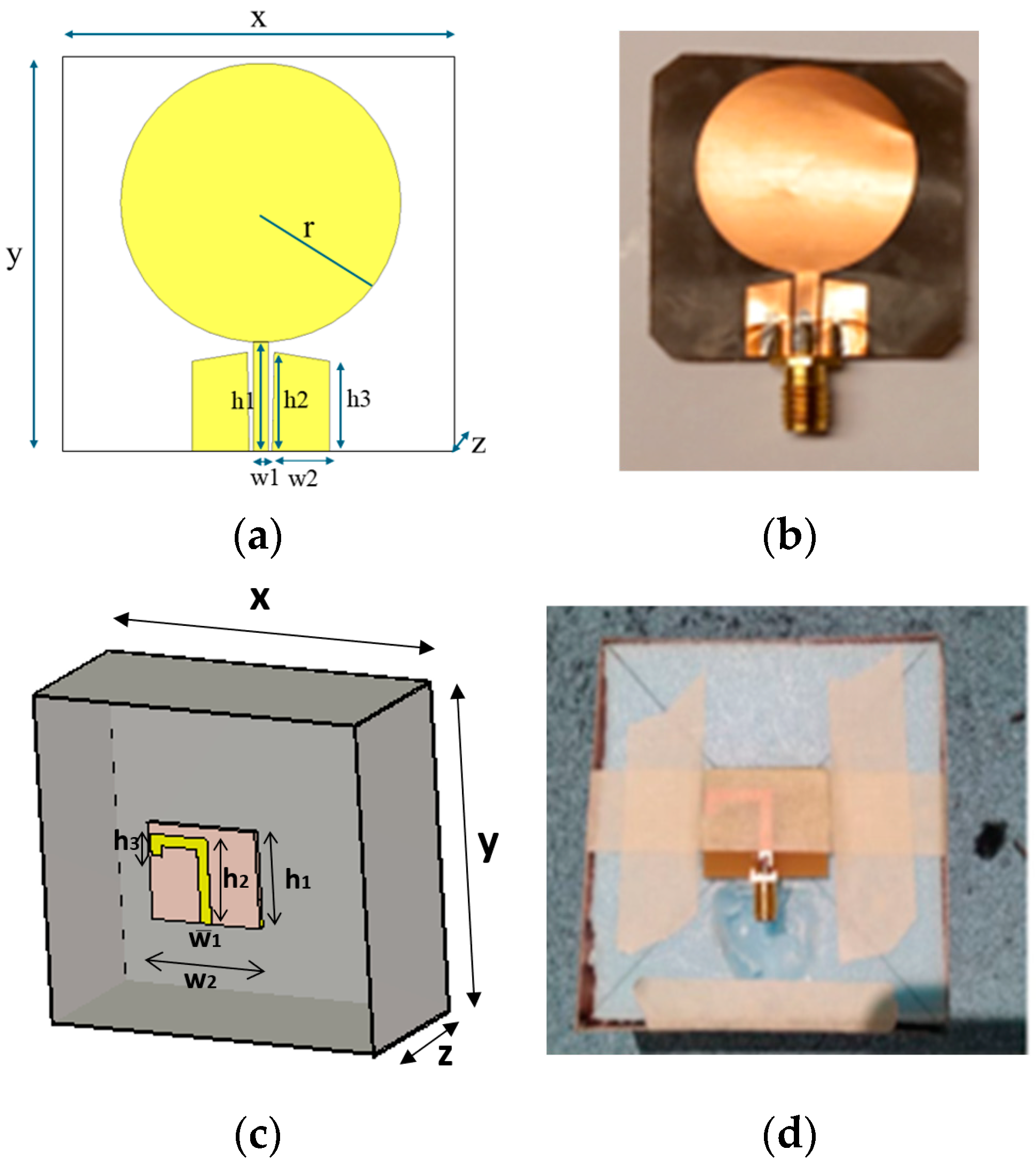 Biosensors 14 00434 g001 Biosensors 14 00434 g001