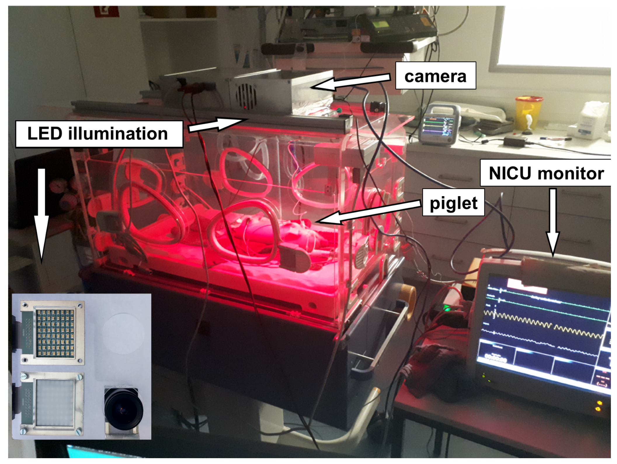 Biosensors 14 00437 g009