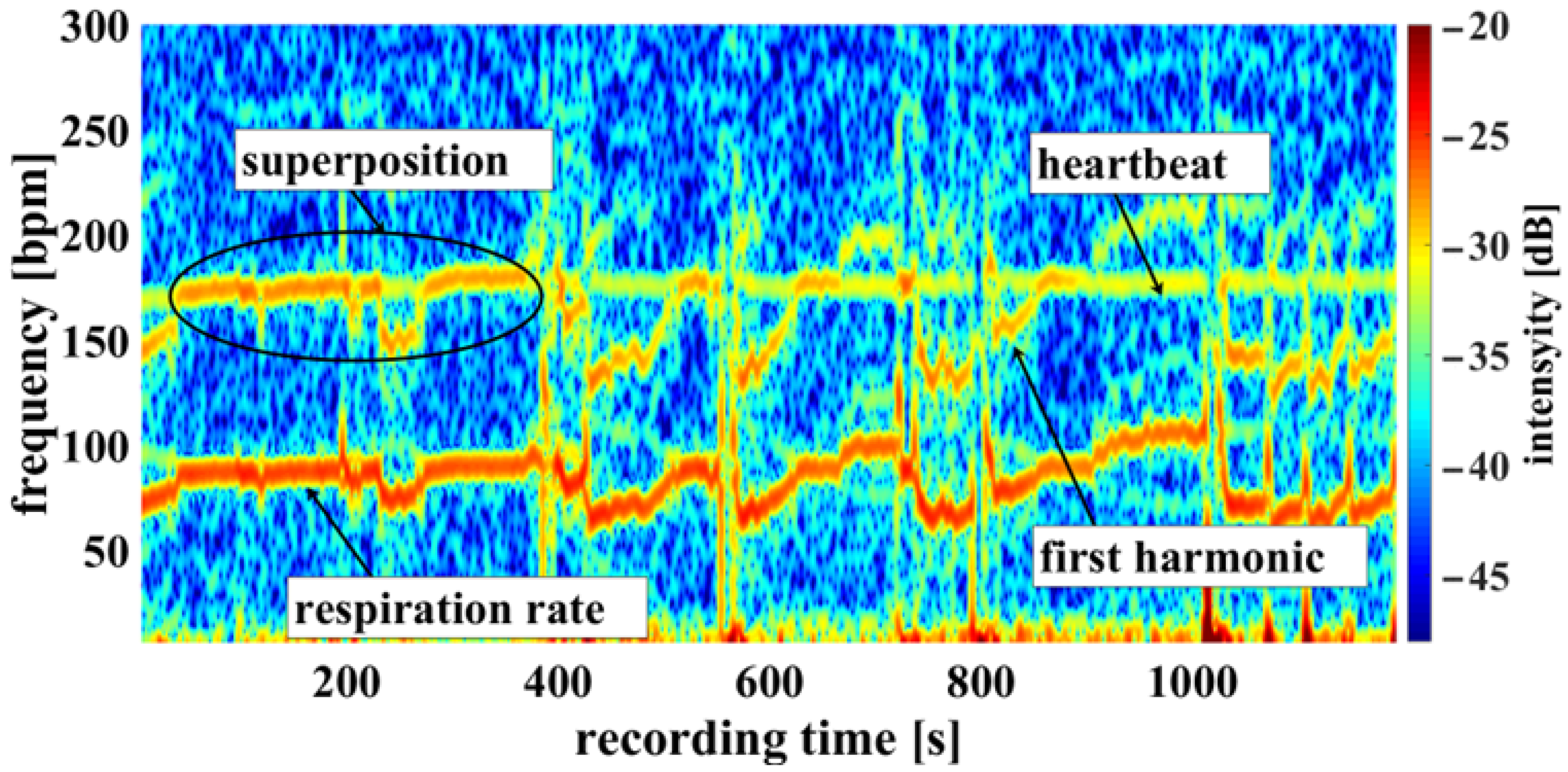 Biosensors 14 00437 g010