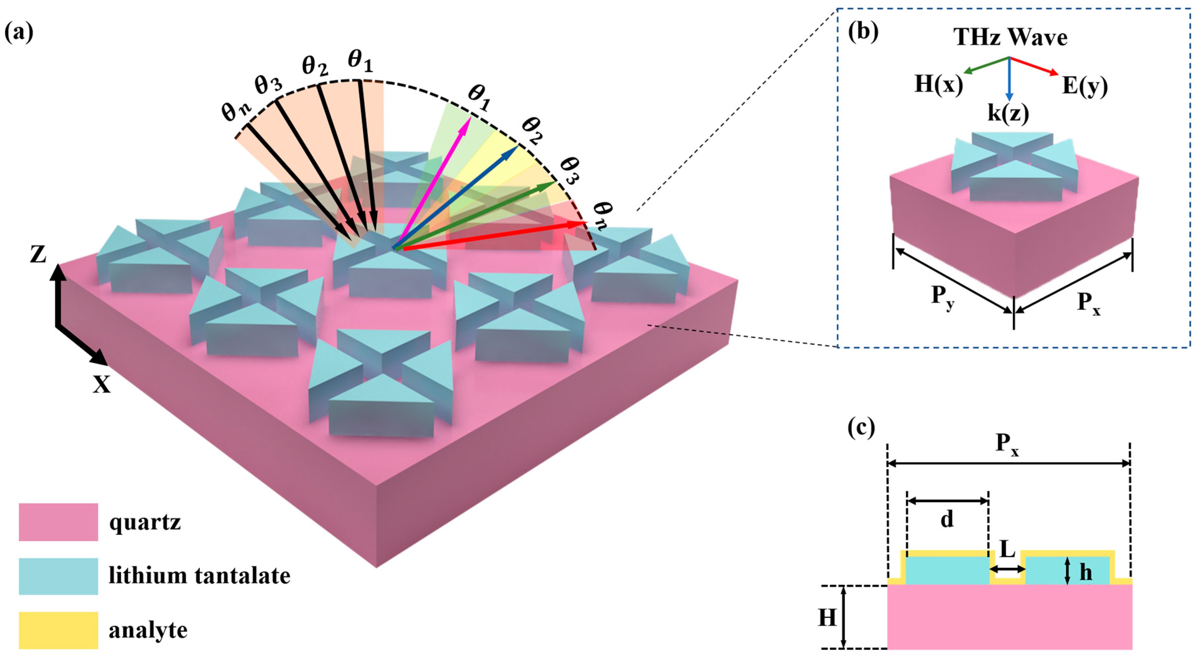Biosensors 14 00440 g001