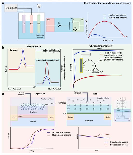 Biosensors 14 00443 g002