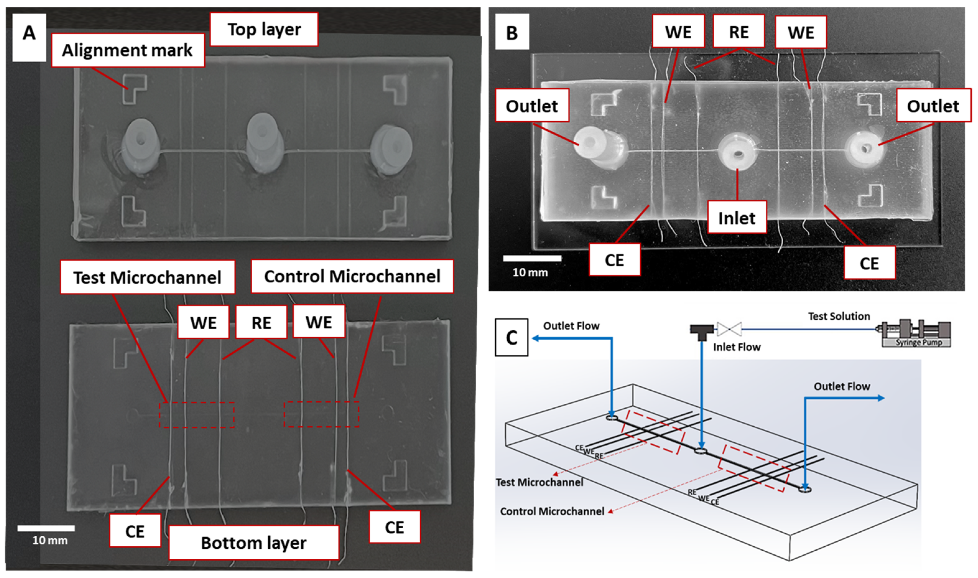 Biosensors 14 00445 g001