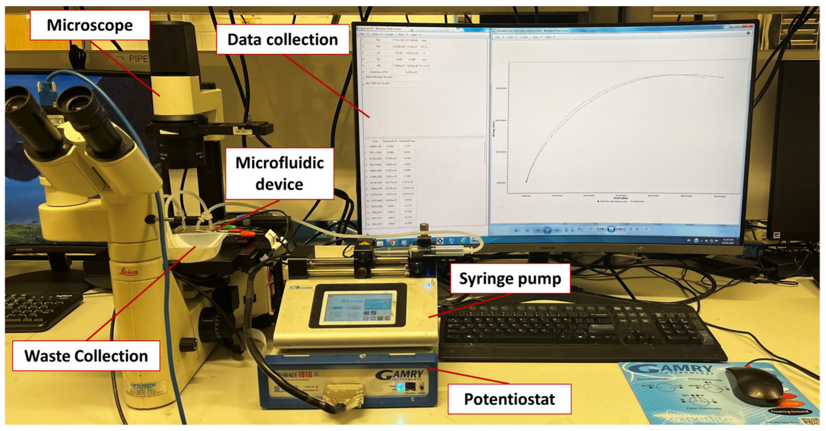 Biosensors 14 00445 g002