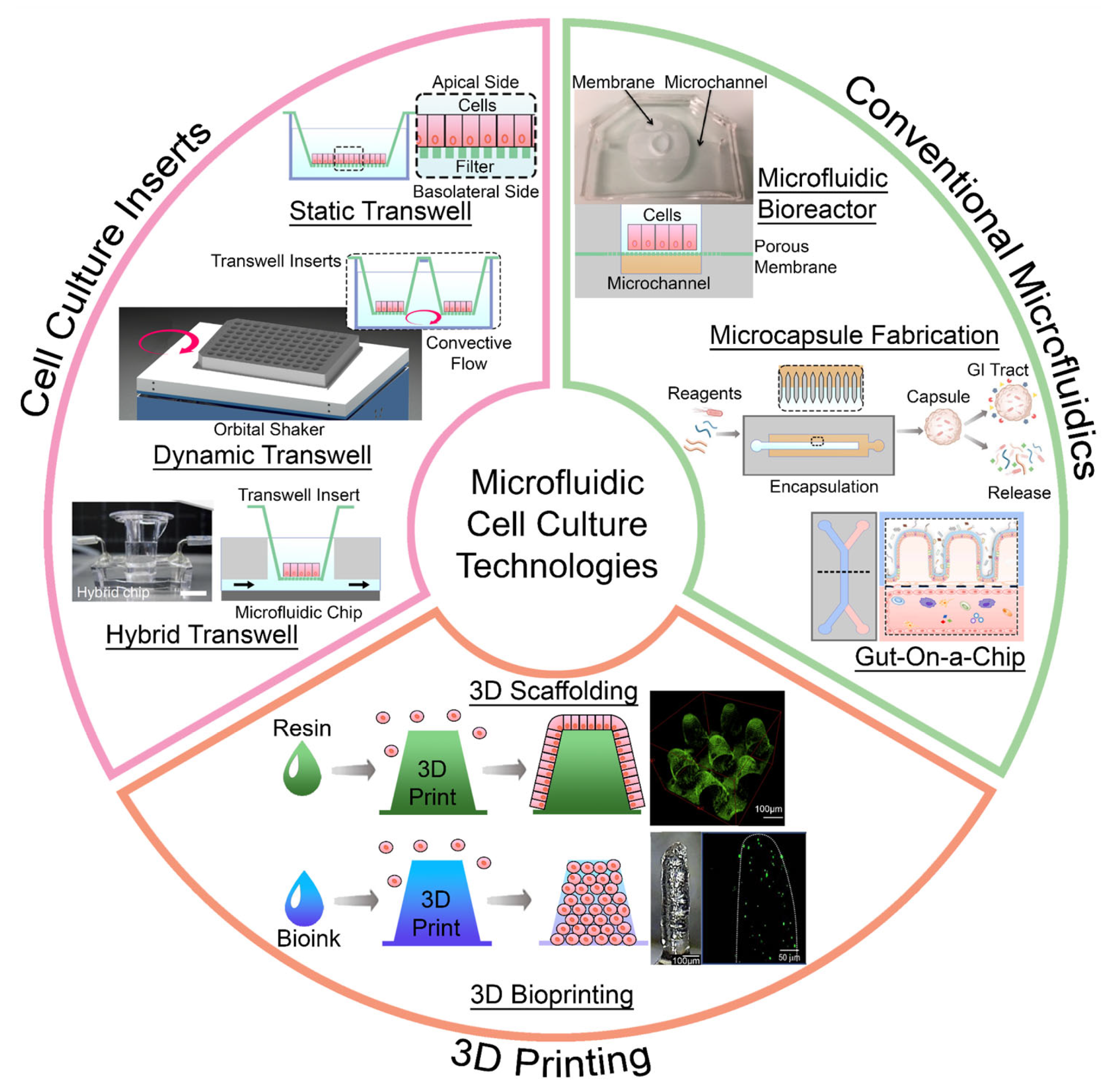 Biosensors 14 00449 g001