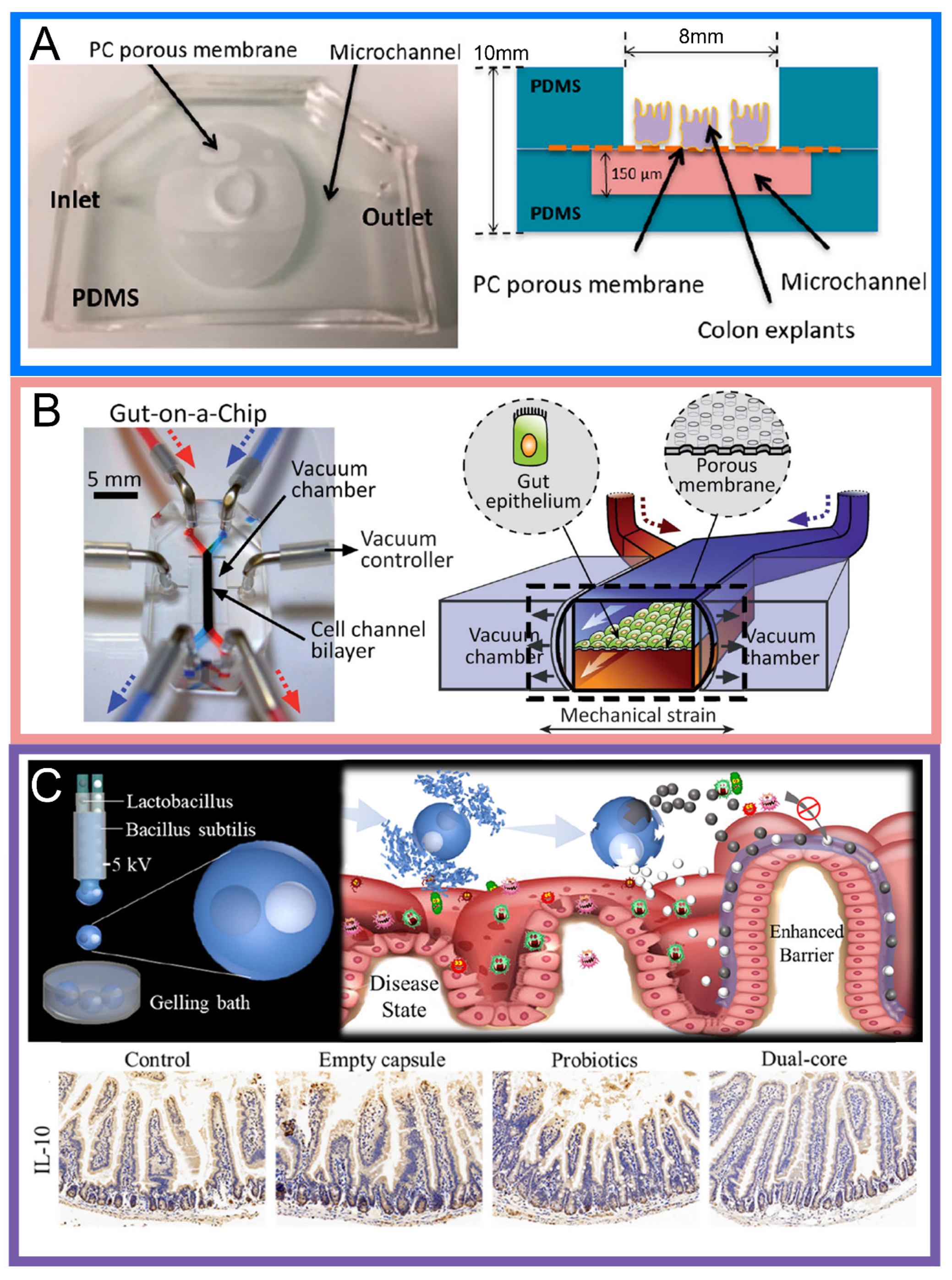 Biosensors 14 00449 g003
