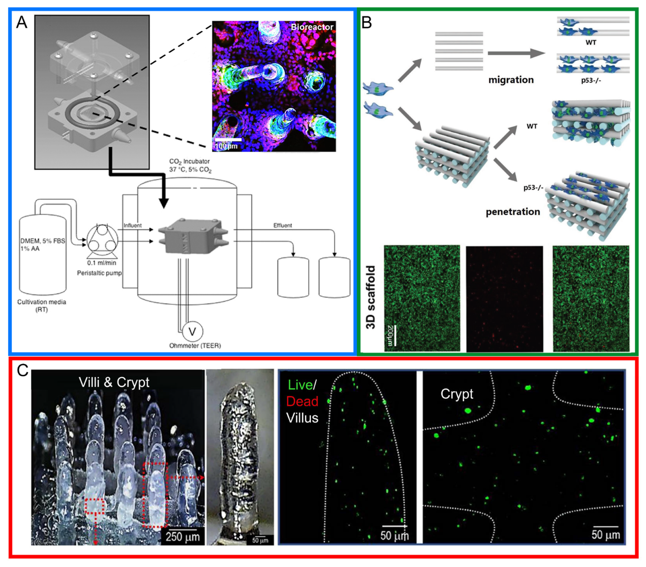 Biosensors 14 00449 g004