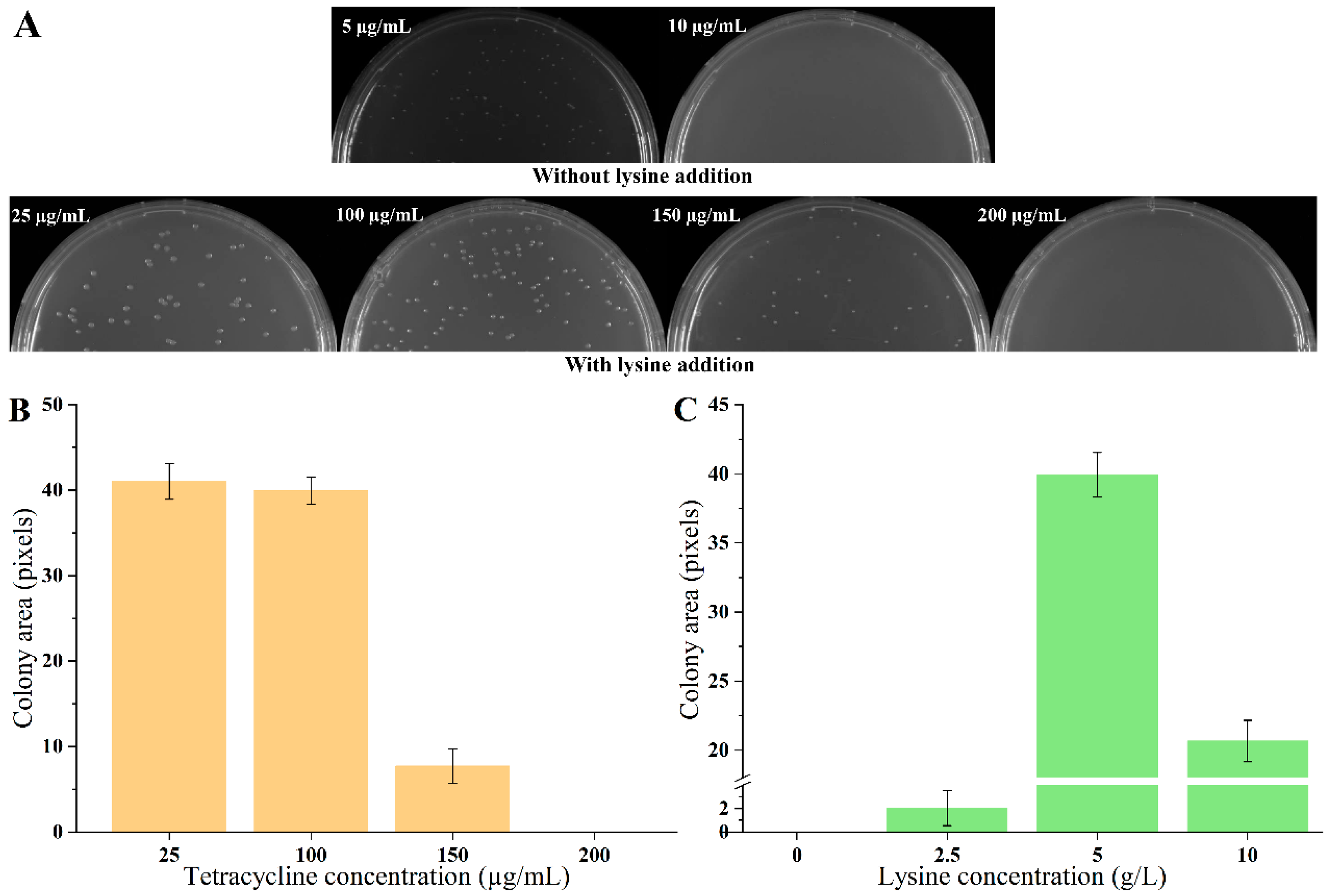 Biosensors 14 00455 g001 Biosensors 14 00455 g001