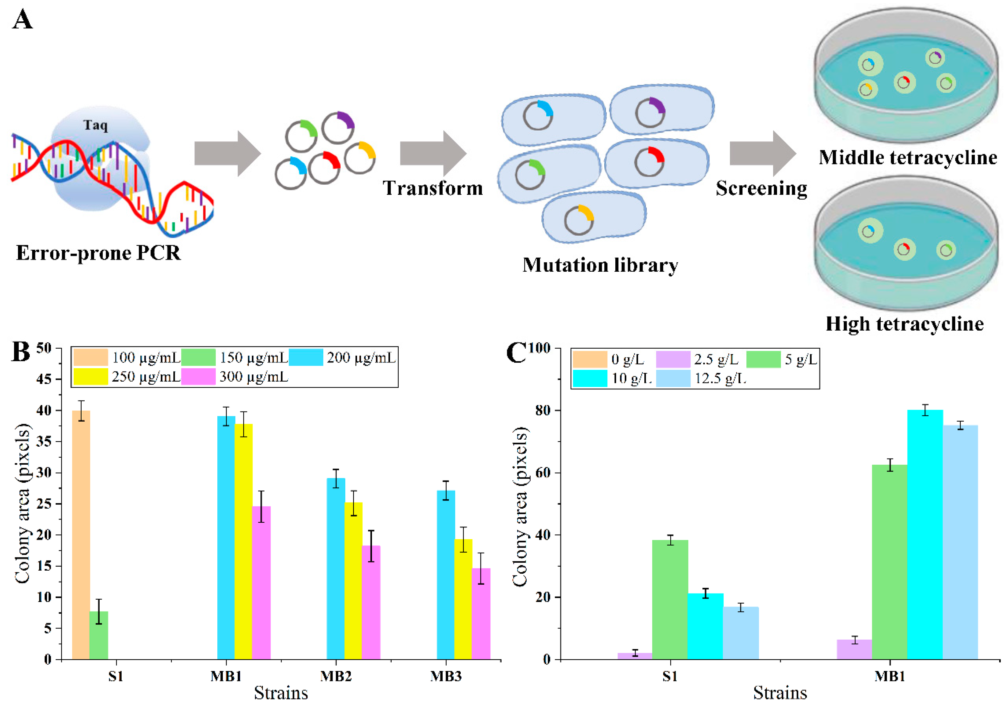 Biosensors 14 00455 g002 Biosensors 14 00455 g002