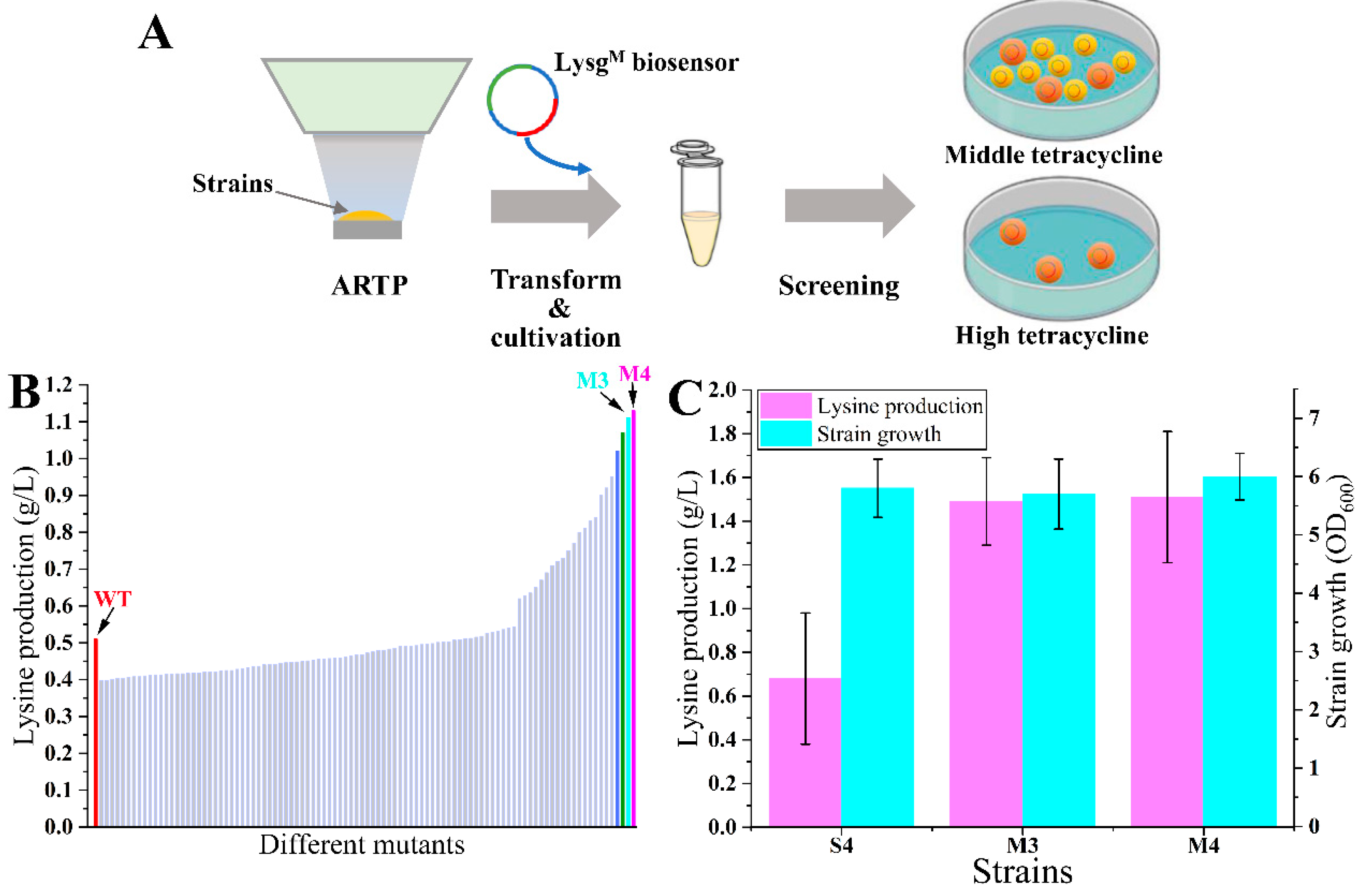 Biosensors 14 00455 g005 Biosensors 14 00455 g005