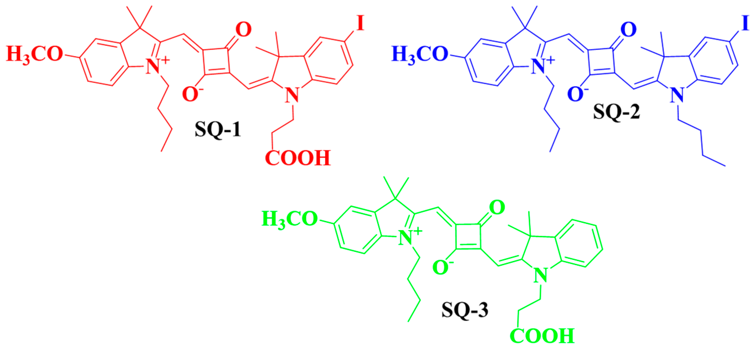 Biosensors 14 00458 g001