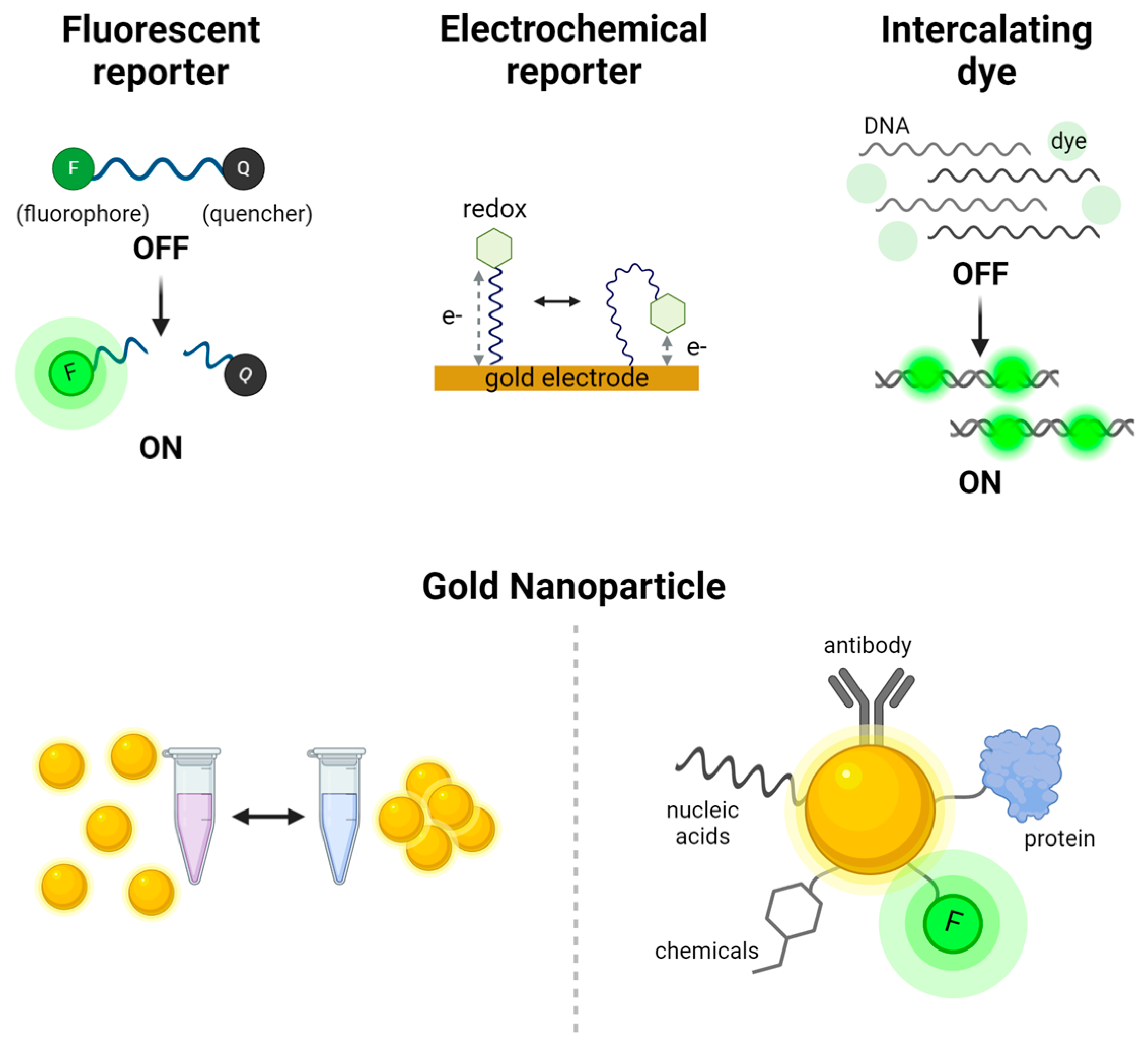 Biosensors 14 00460 g002