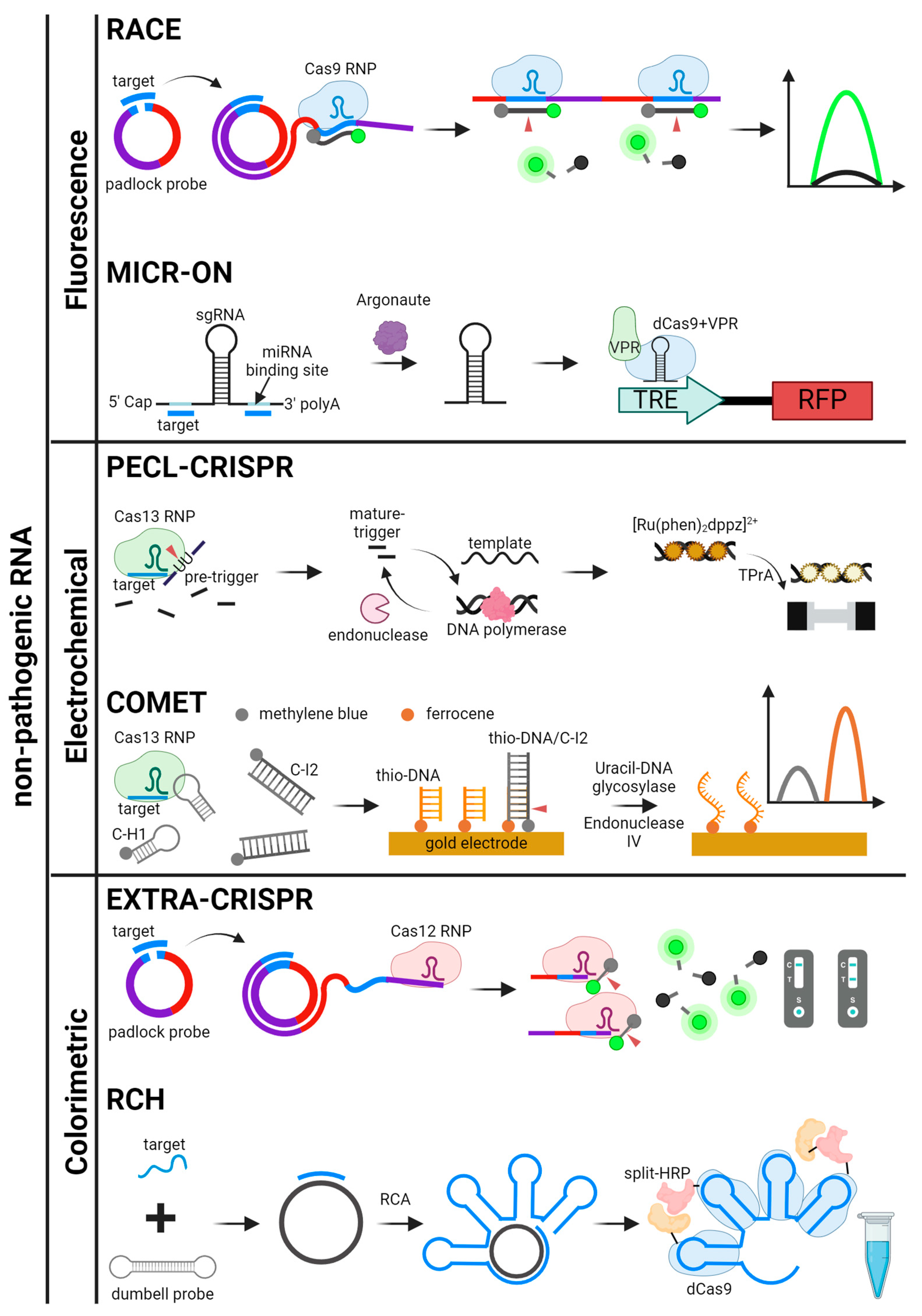 Biosensors 14 00460 g006