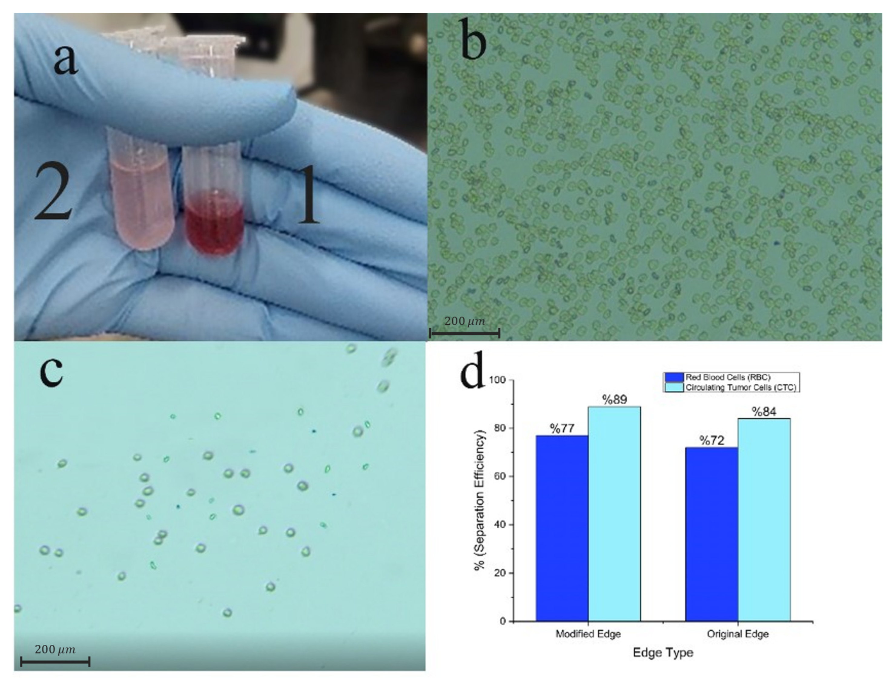 Biosensors 14 00466 g006