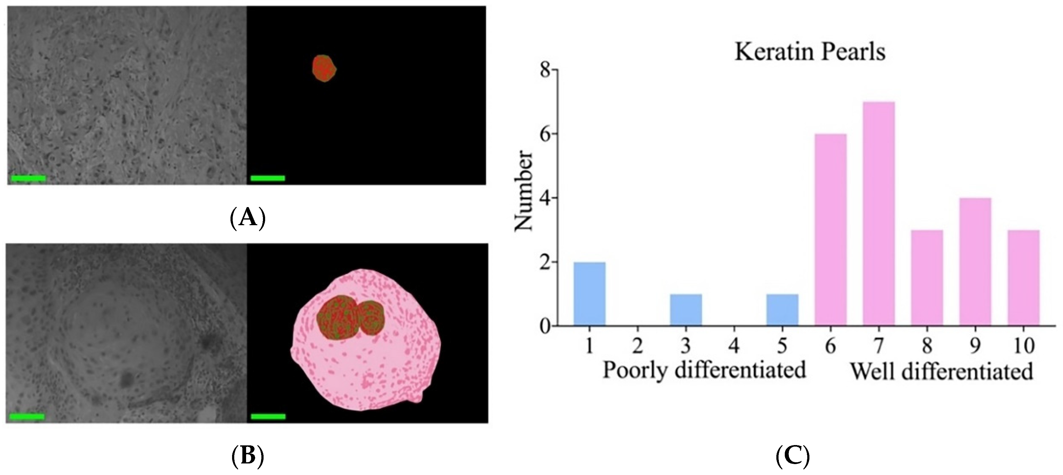 Biosensors 14 00467 g006