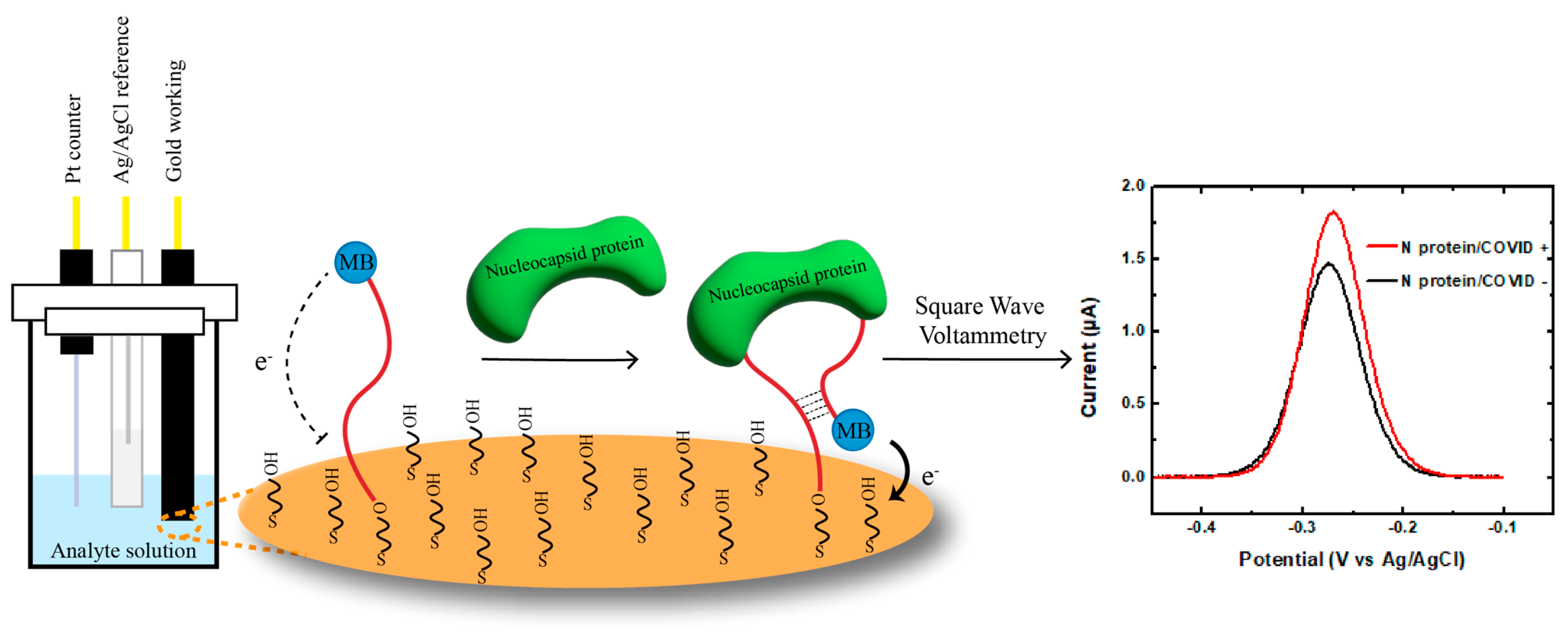 Biosensors 14 00471 g001