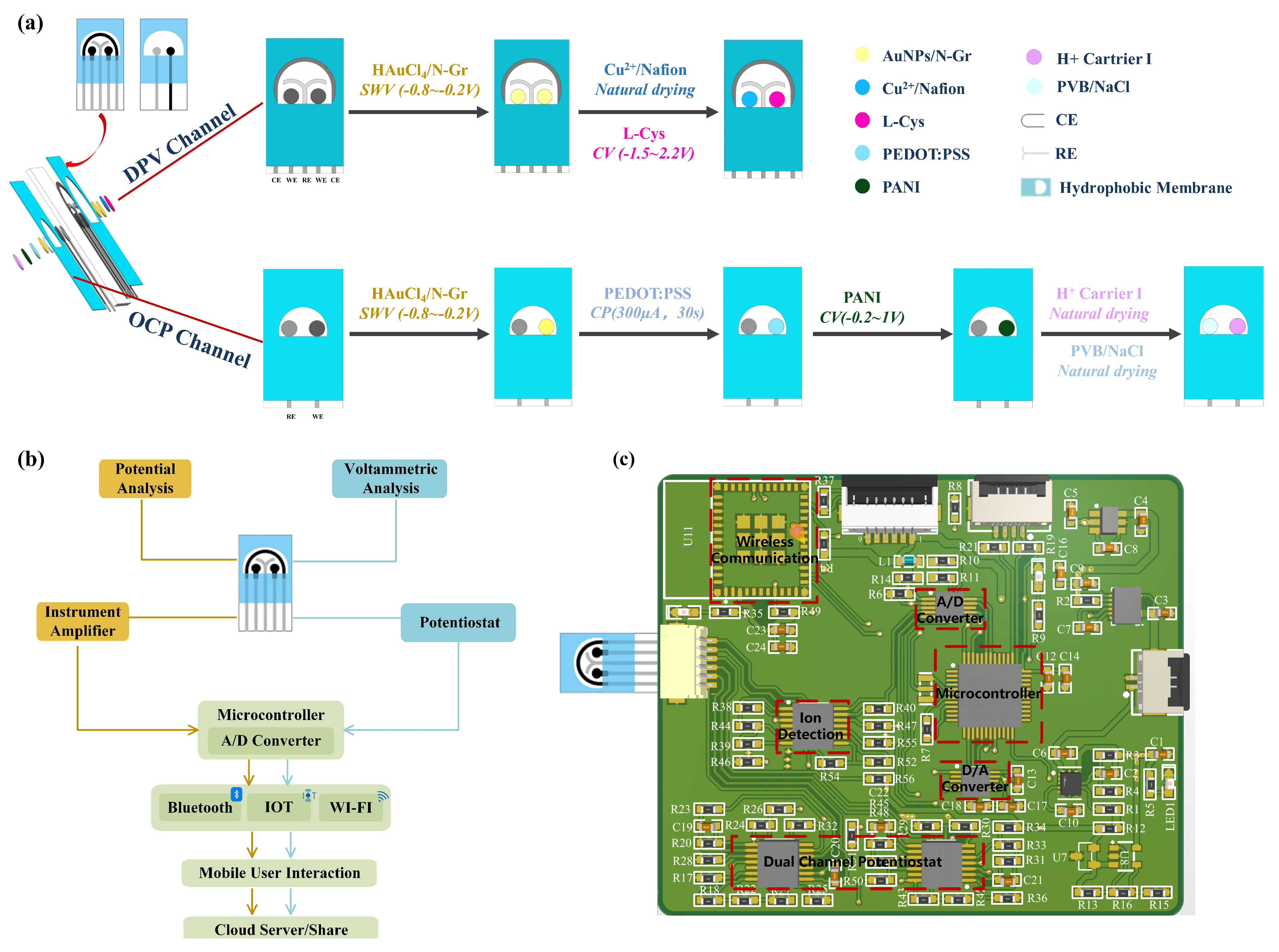Biosensors 14 00473 g001