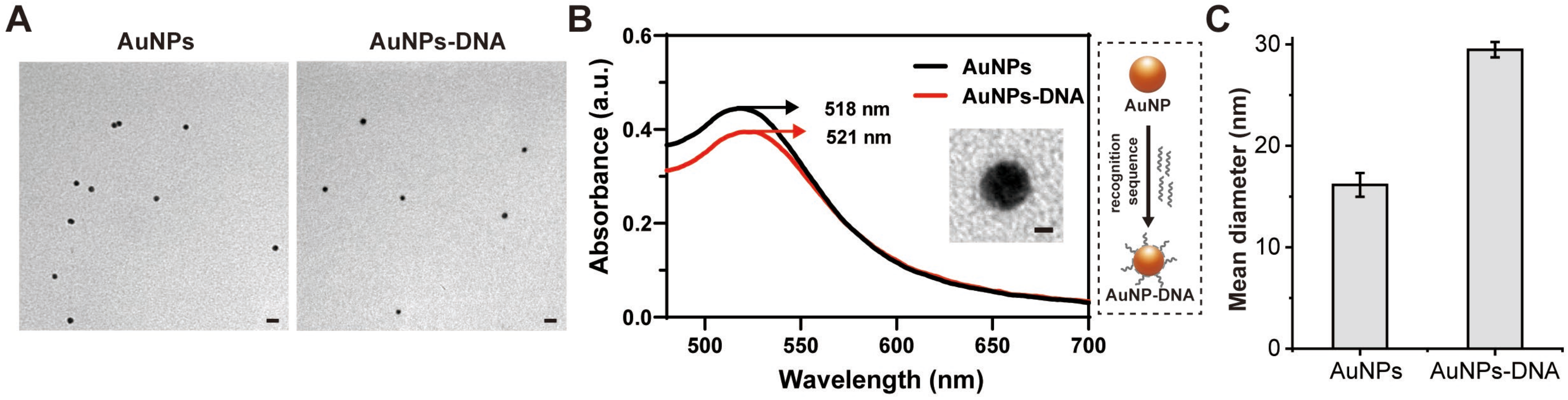 Biosensors 14 00475 g001