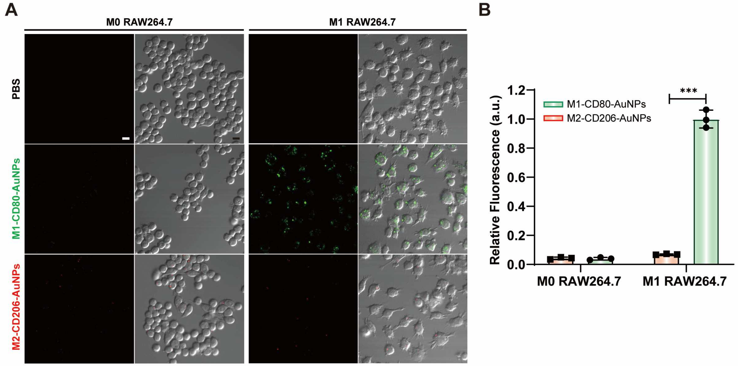 Biosensors 14 00475 g009