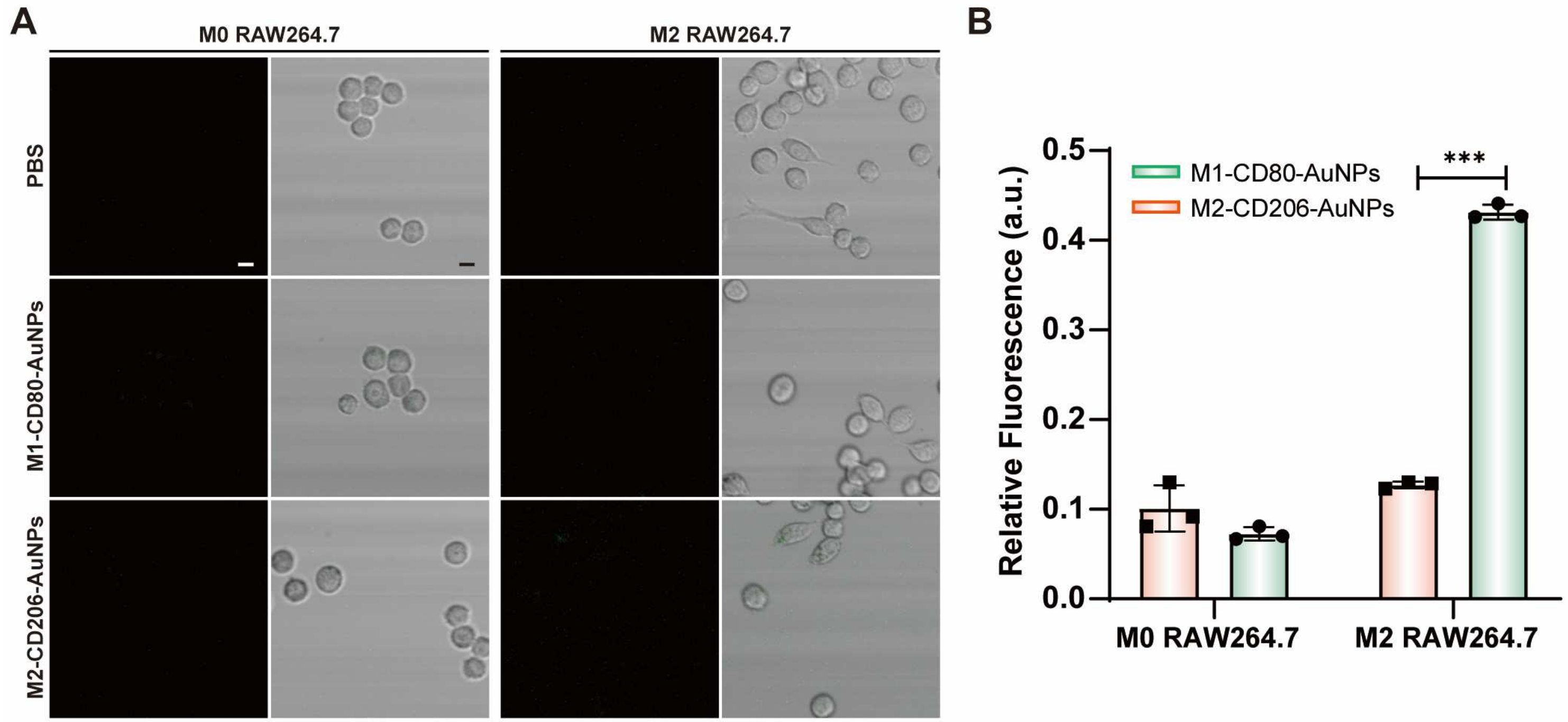 Biosensors 14 00475 g010