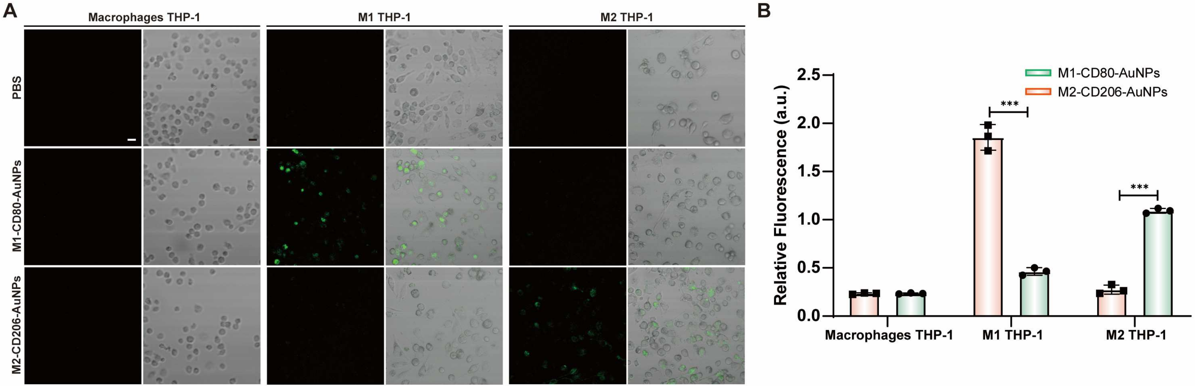 Biosensors 14 00475 g011