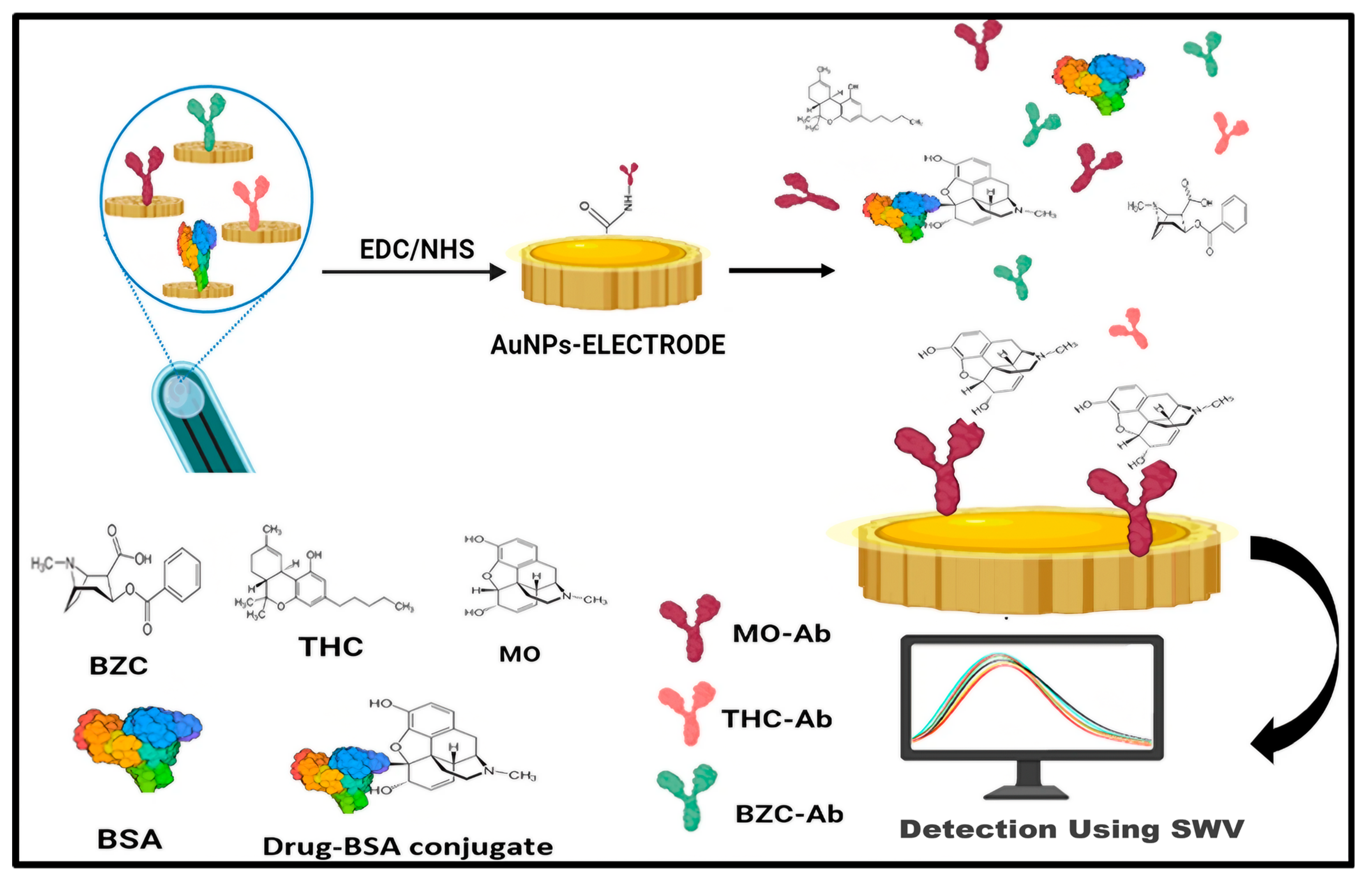 Biosensors 14 00477 g004