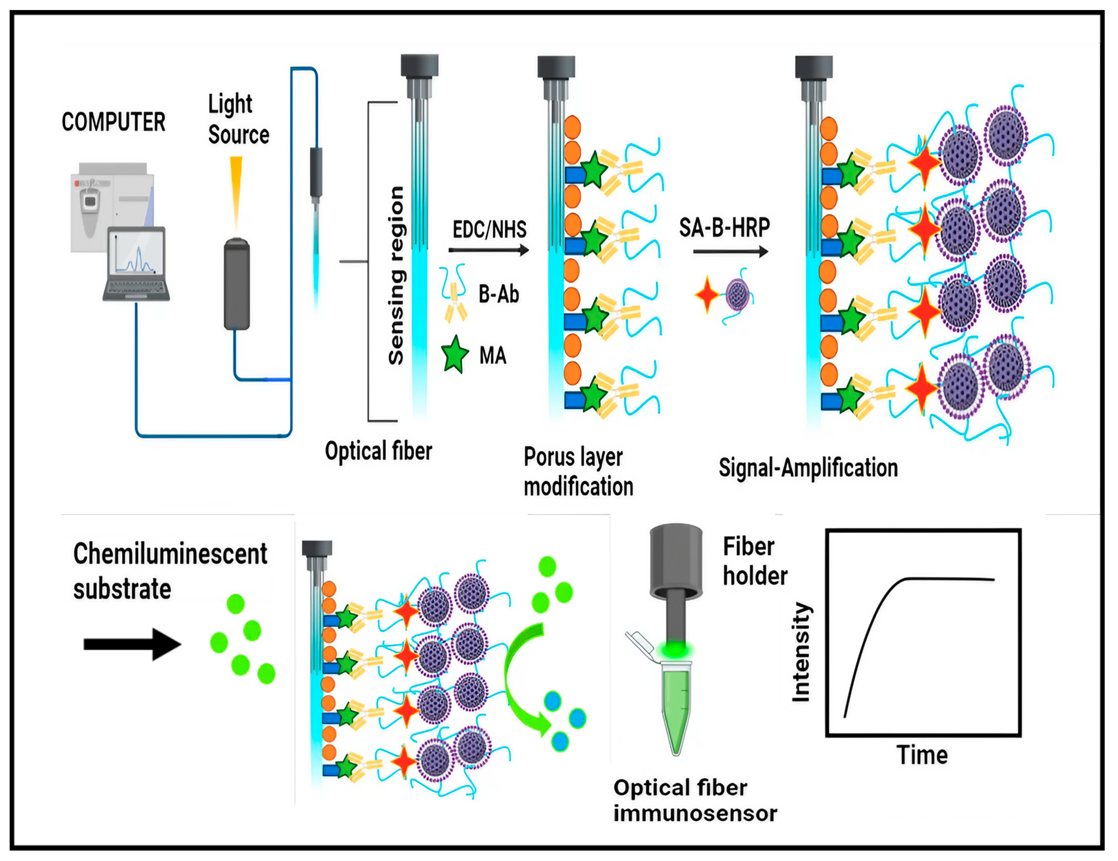 Biosensors 14 00477 g005