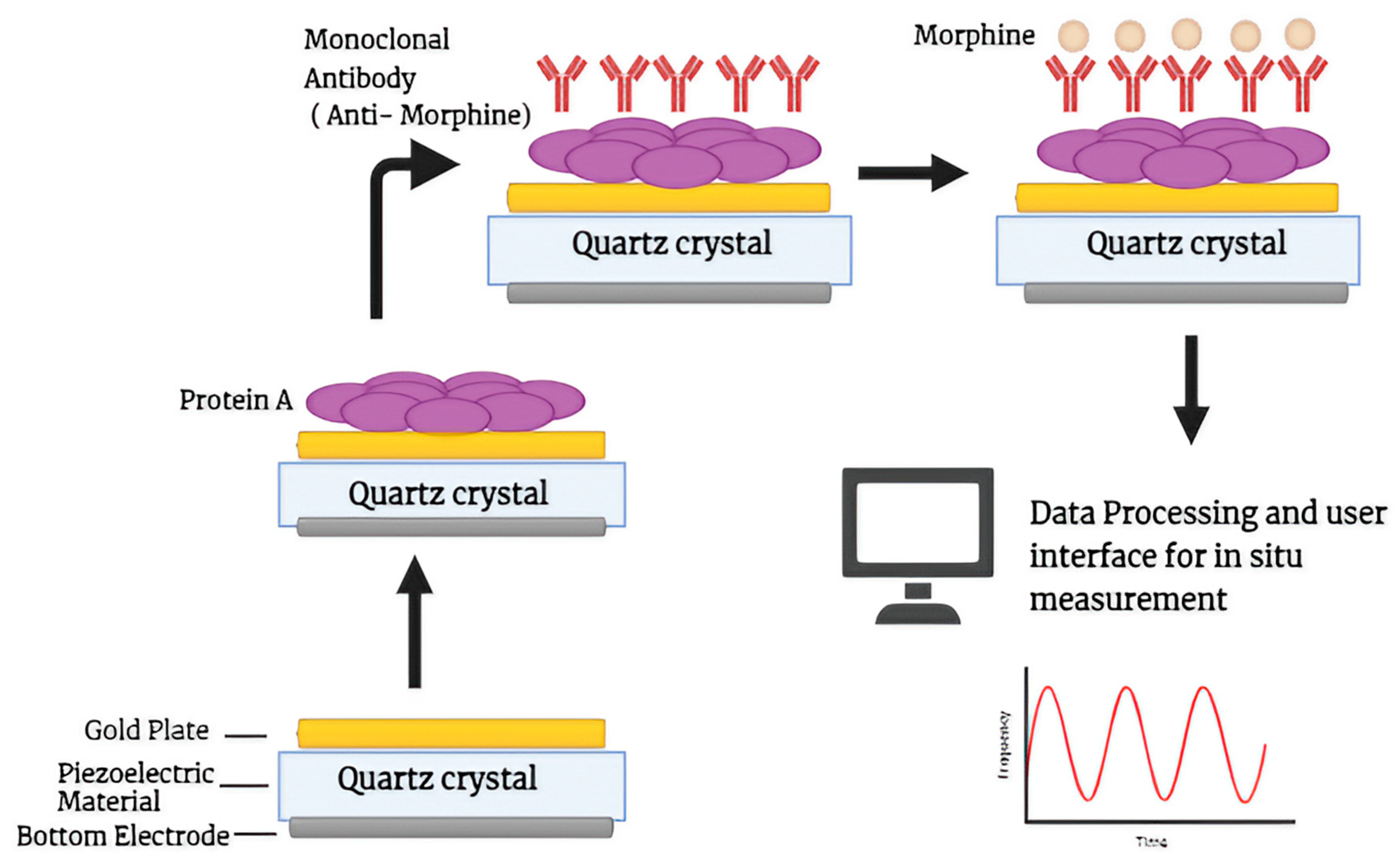 Biosensors 14 00477 g006