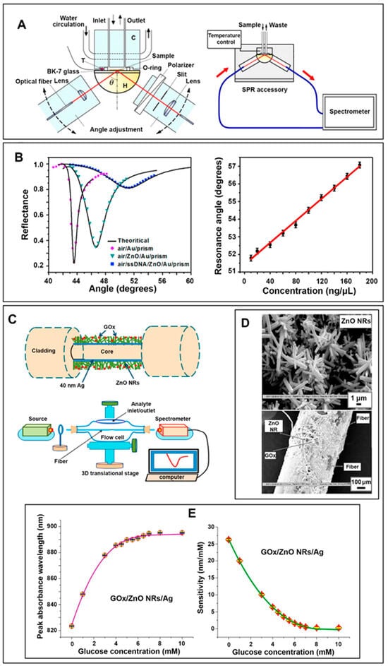 Biosensors 14 00480 g010