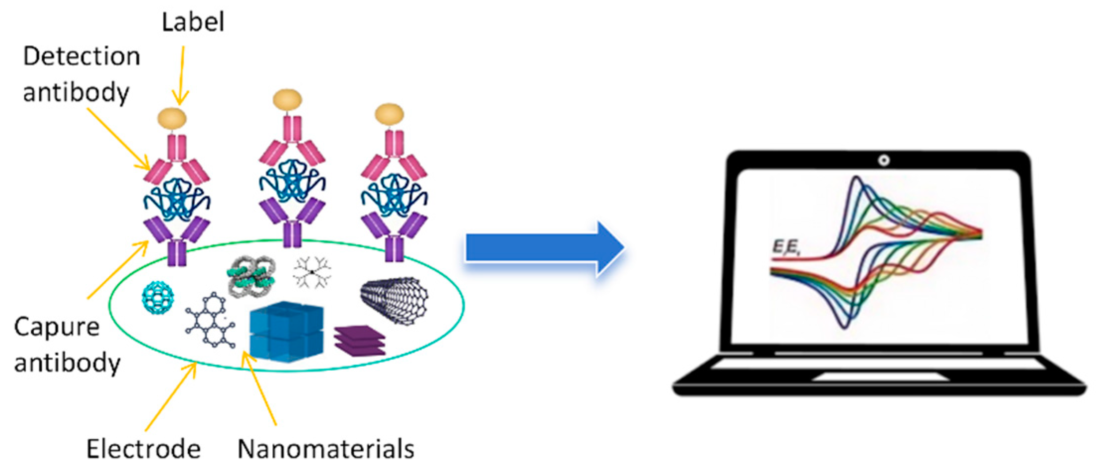 Biosensors 14 00496 g001