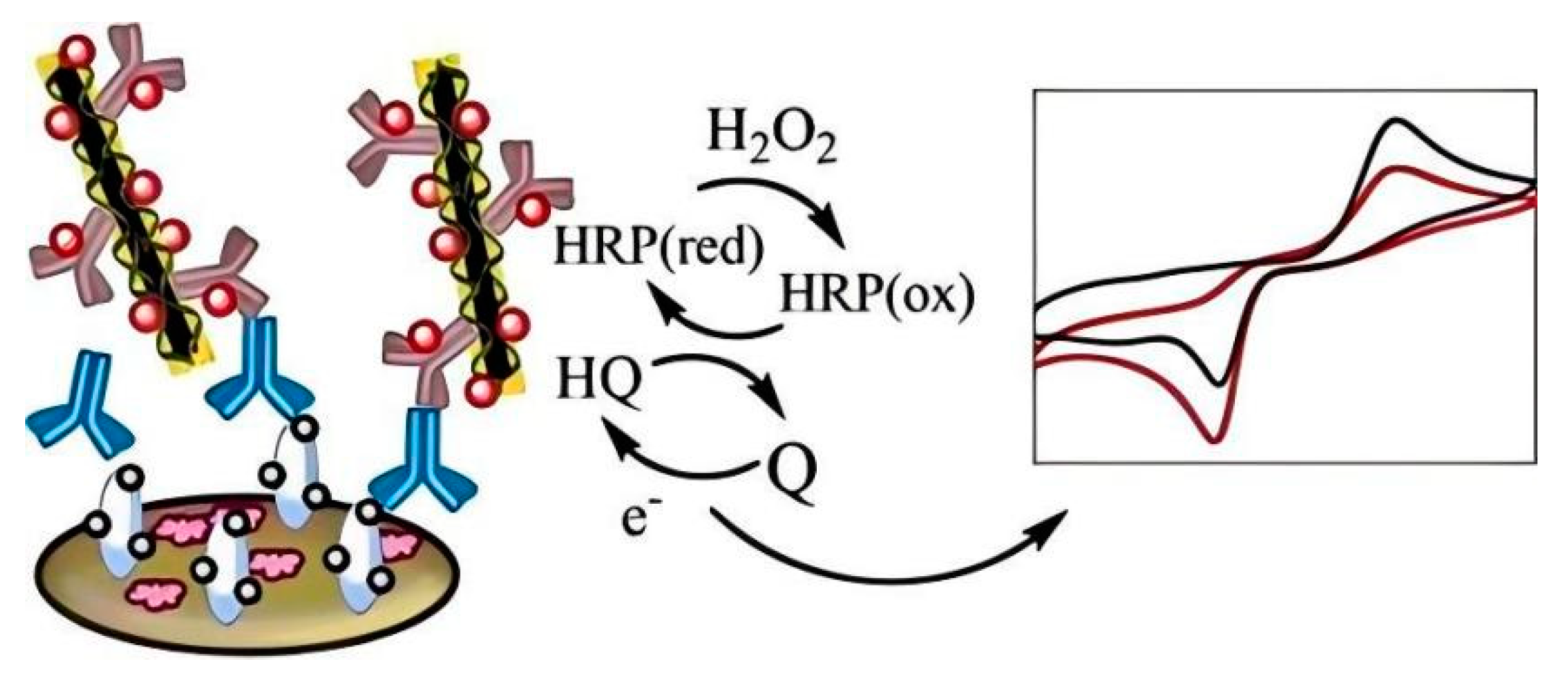 Biosensors 14 00496 g005