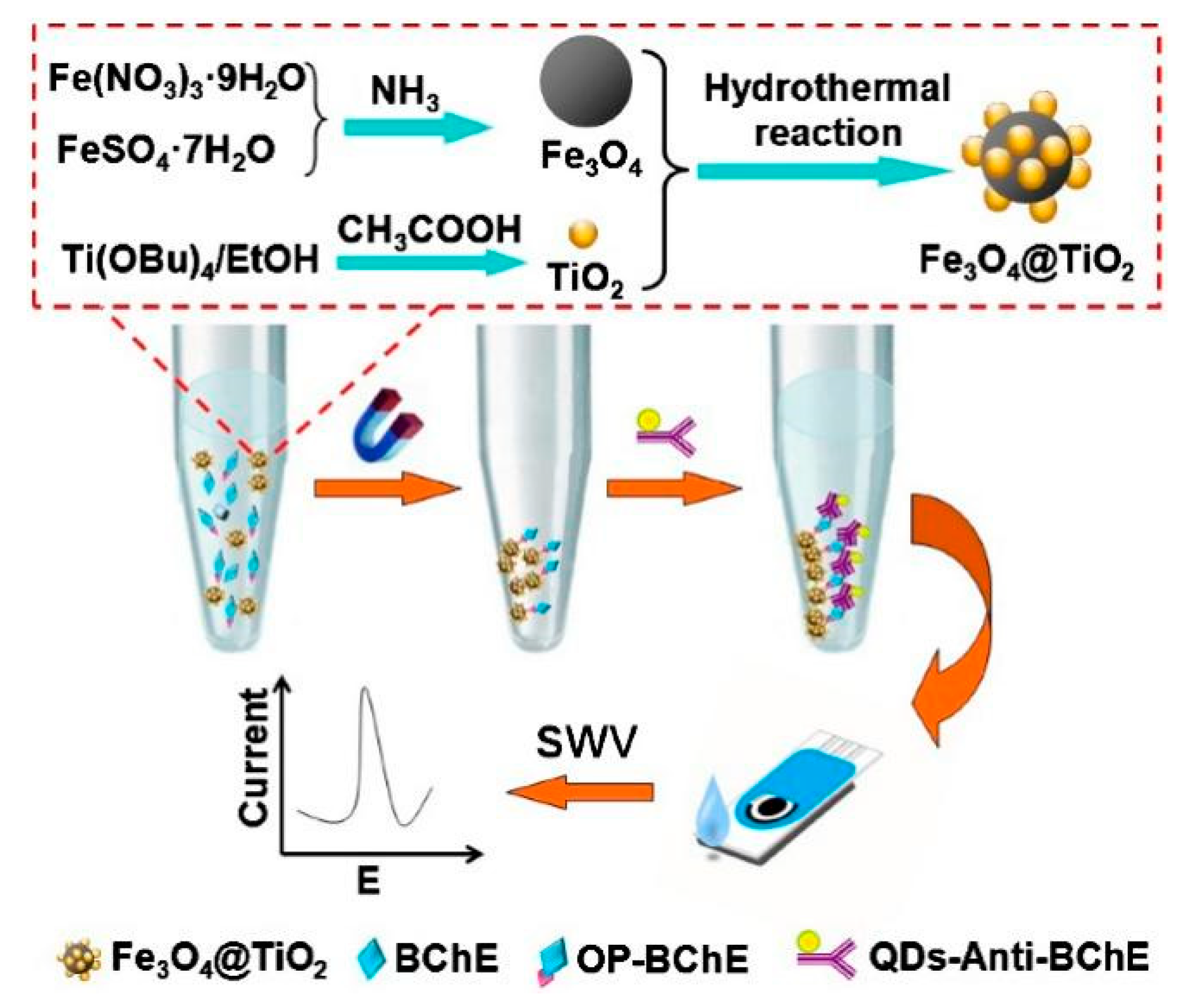 Biosensors 14 00496 g007