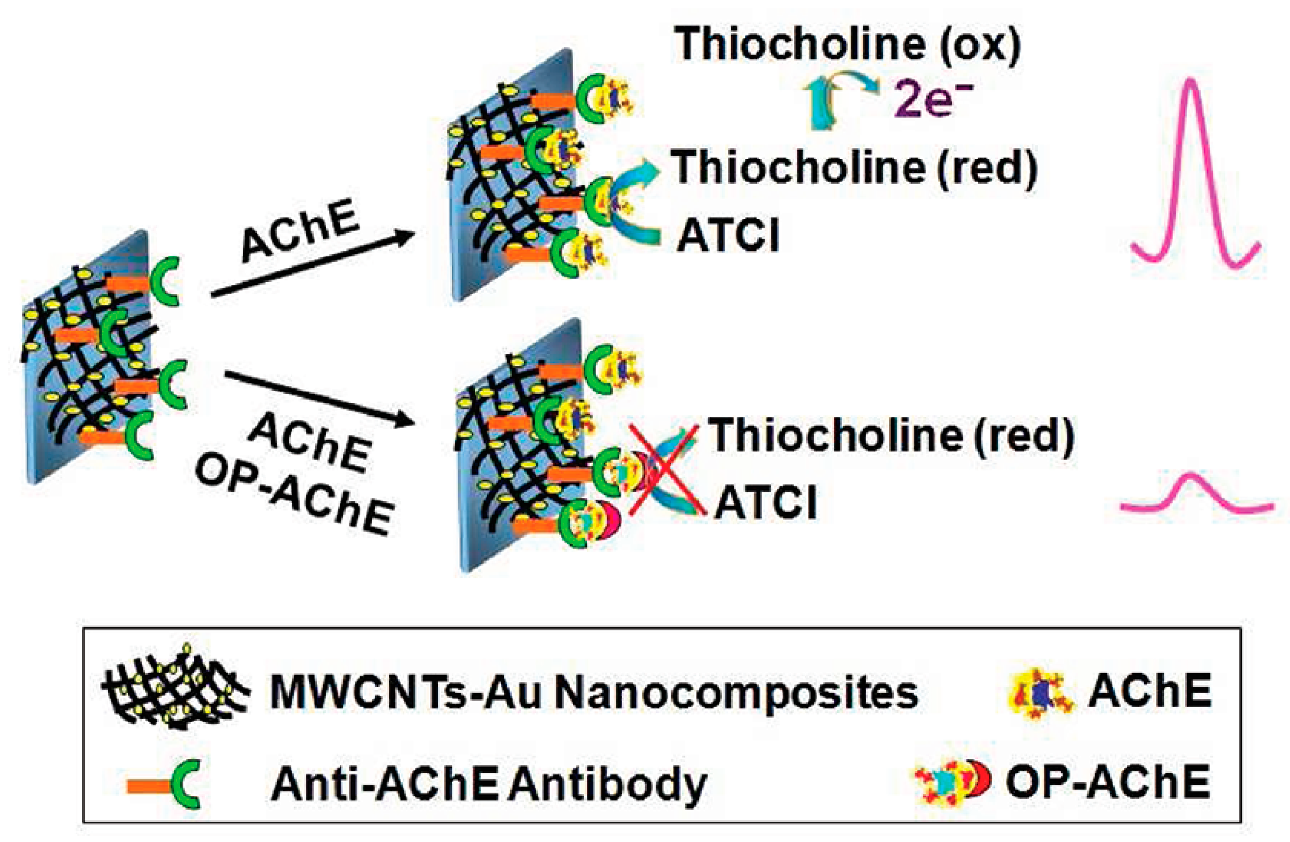 Biosensors 14 00496 g008