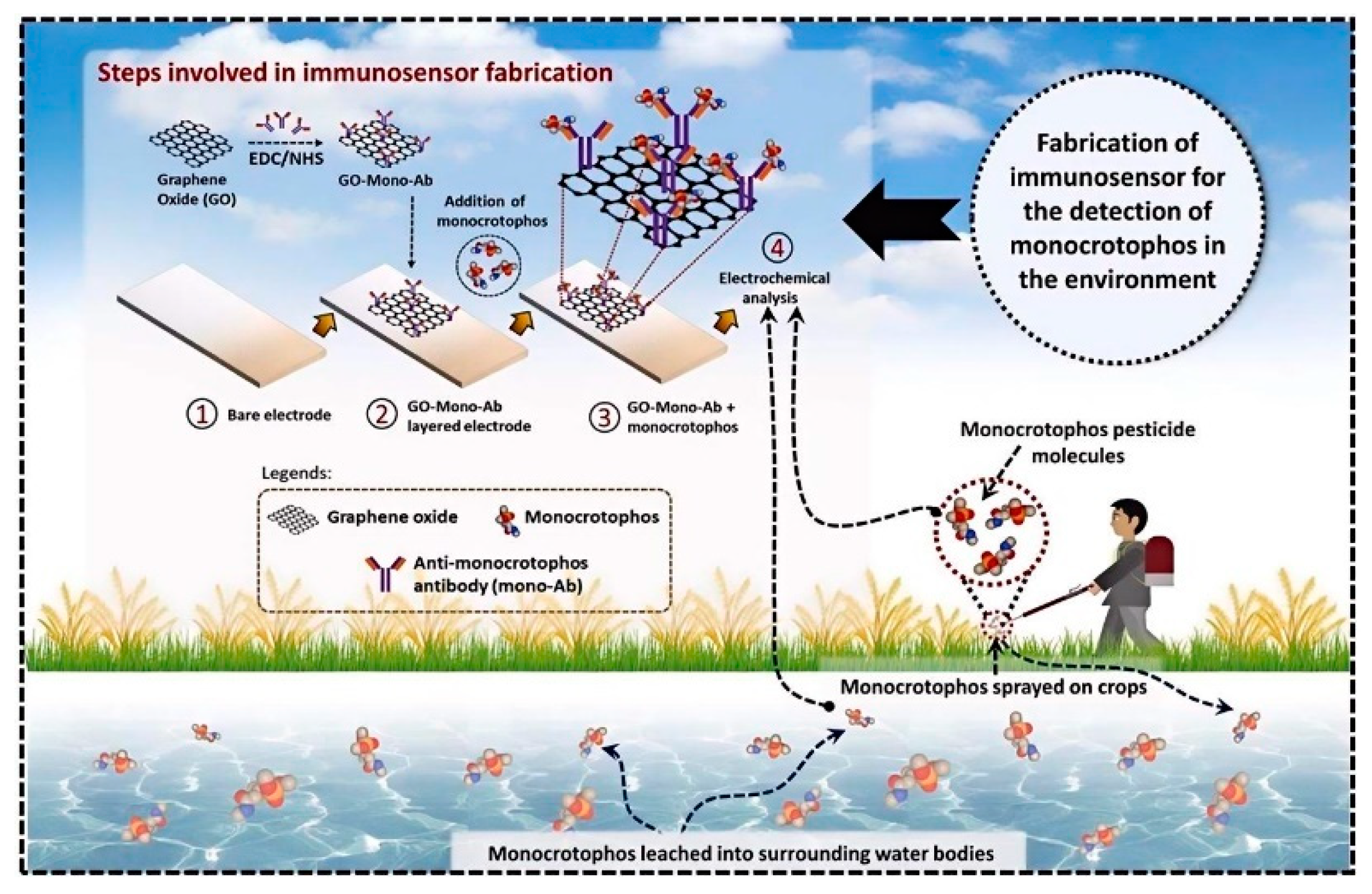 Biosensors 14 00496 g009