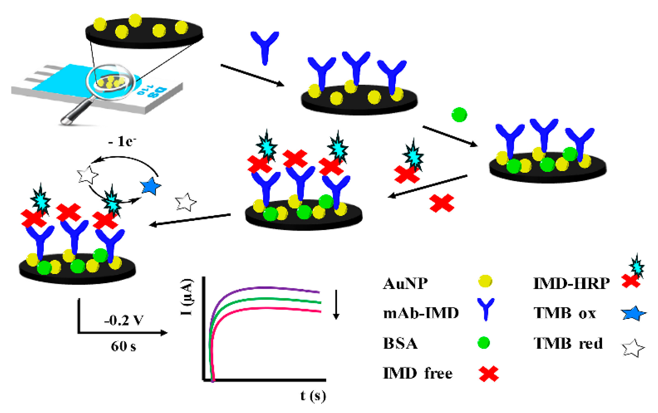 Biosensors 14 00496 g012