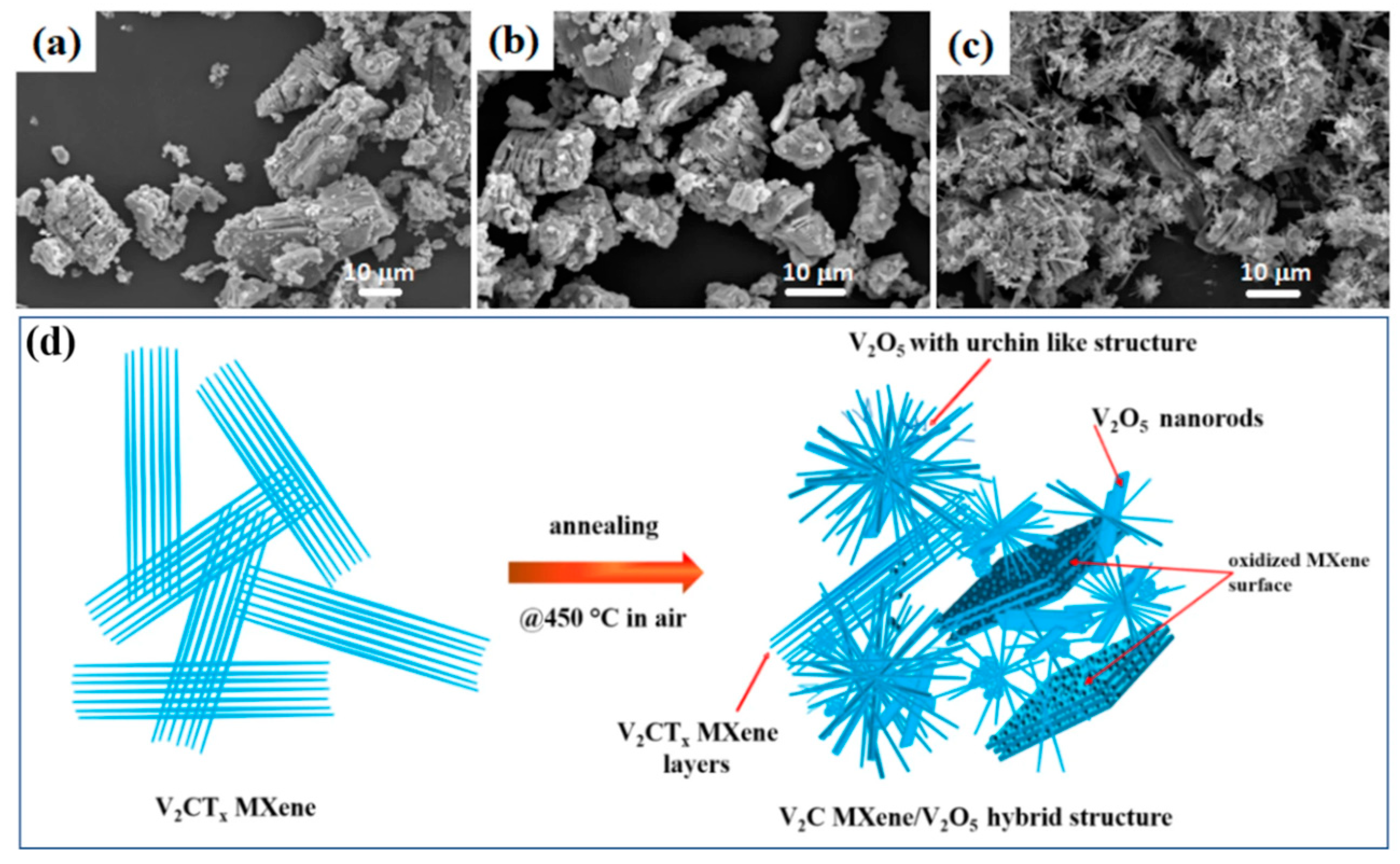 Biosensors 14 00497 g003