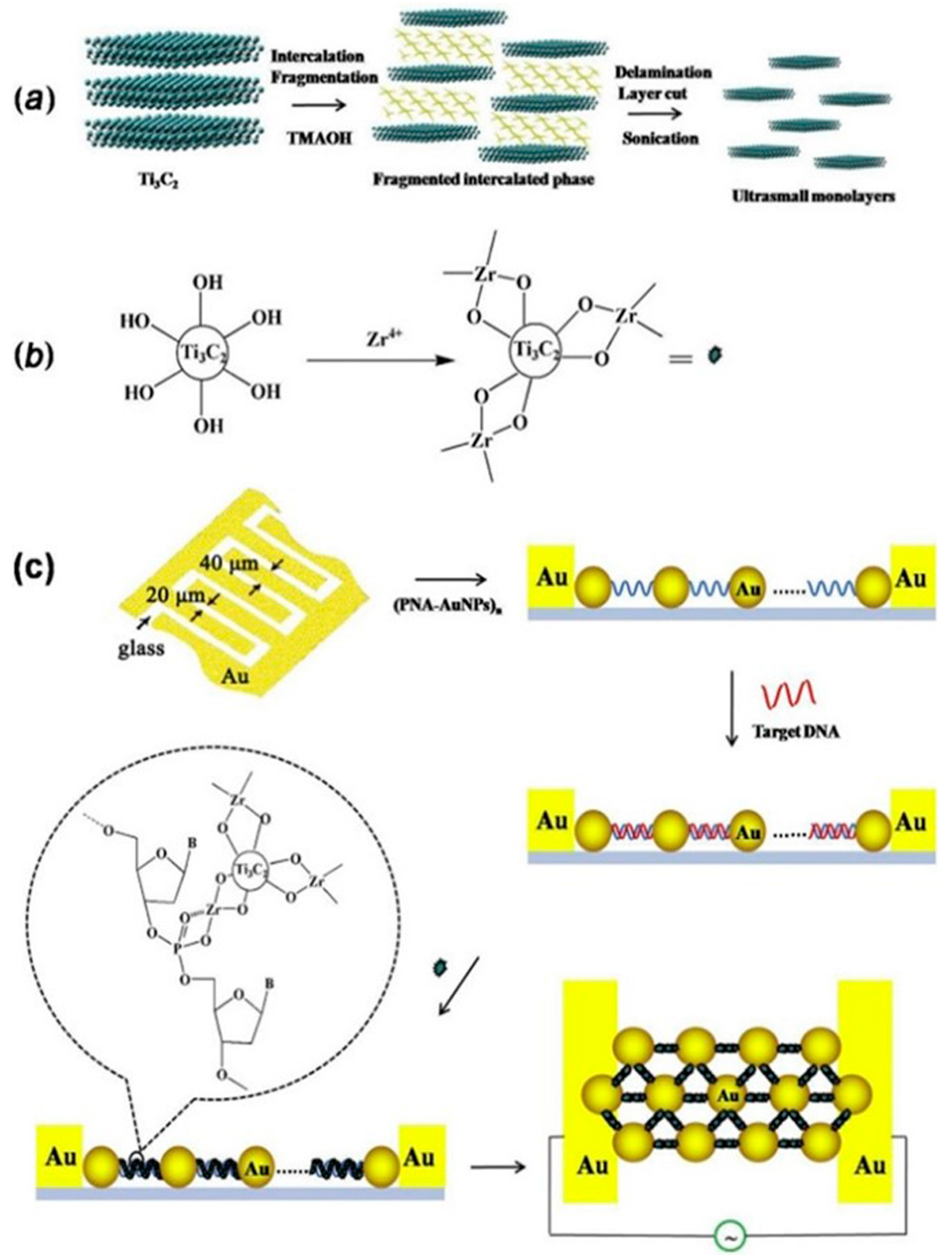 Biosensors 14 00497 g004
