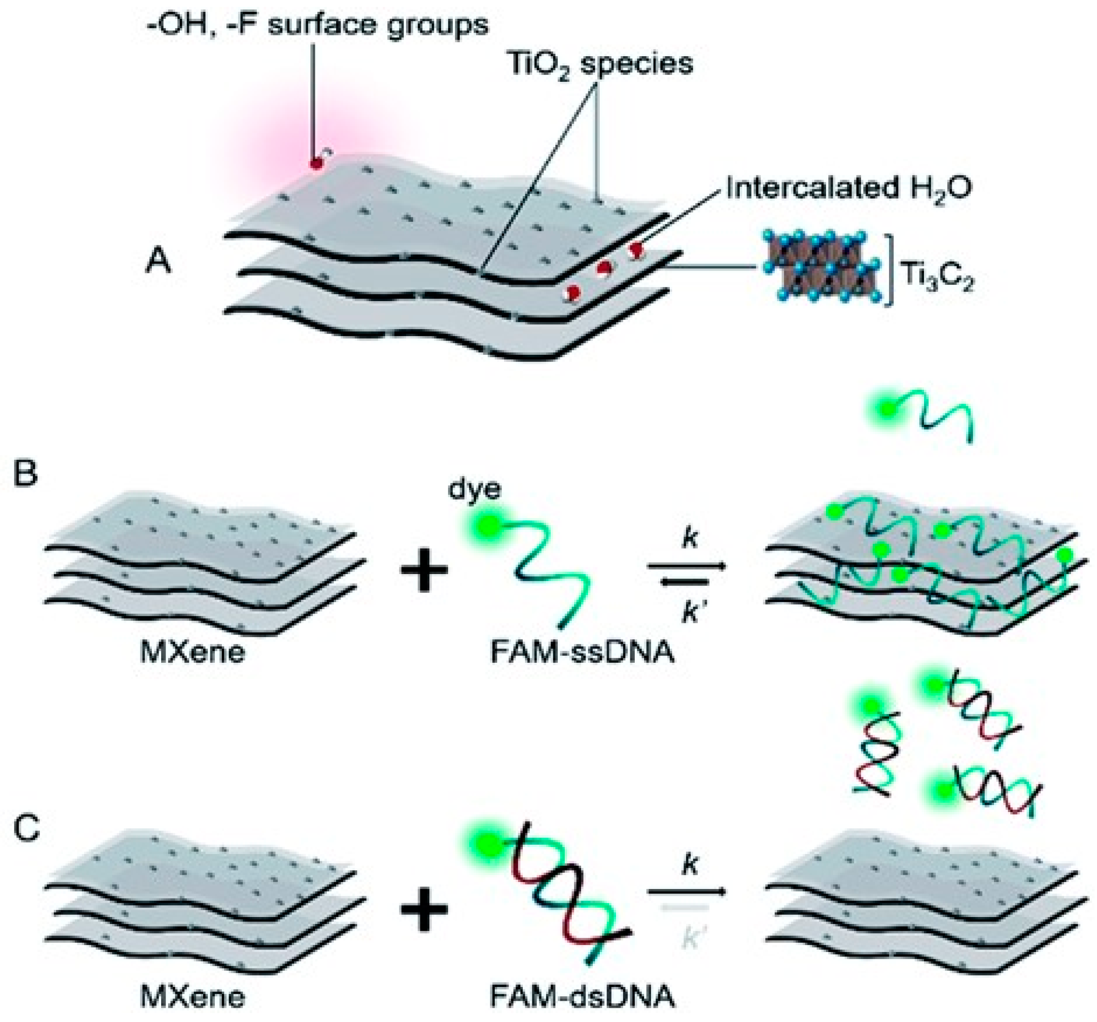 Biosensors 14 00497 g005