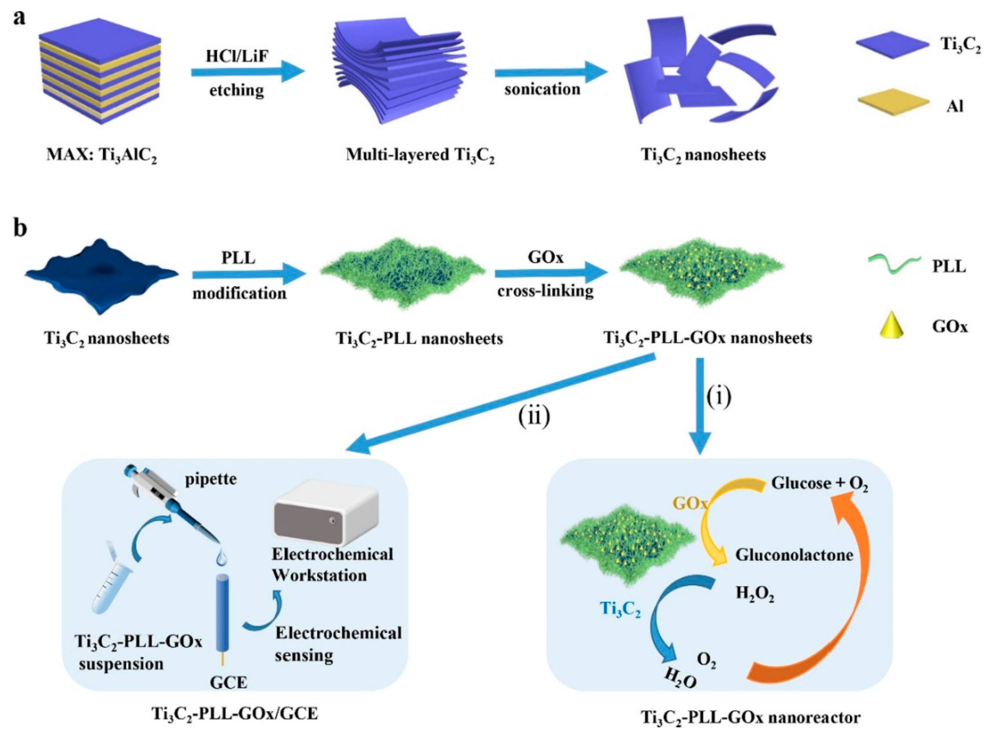 Biosensors 14 00497 g008