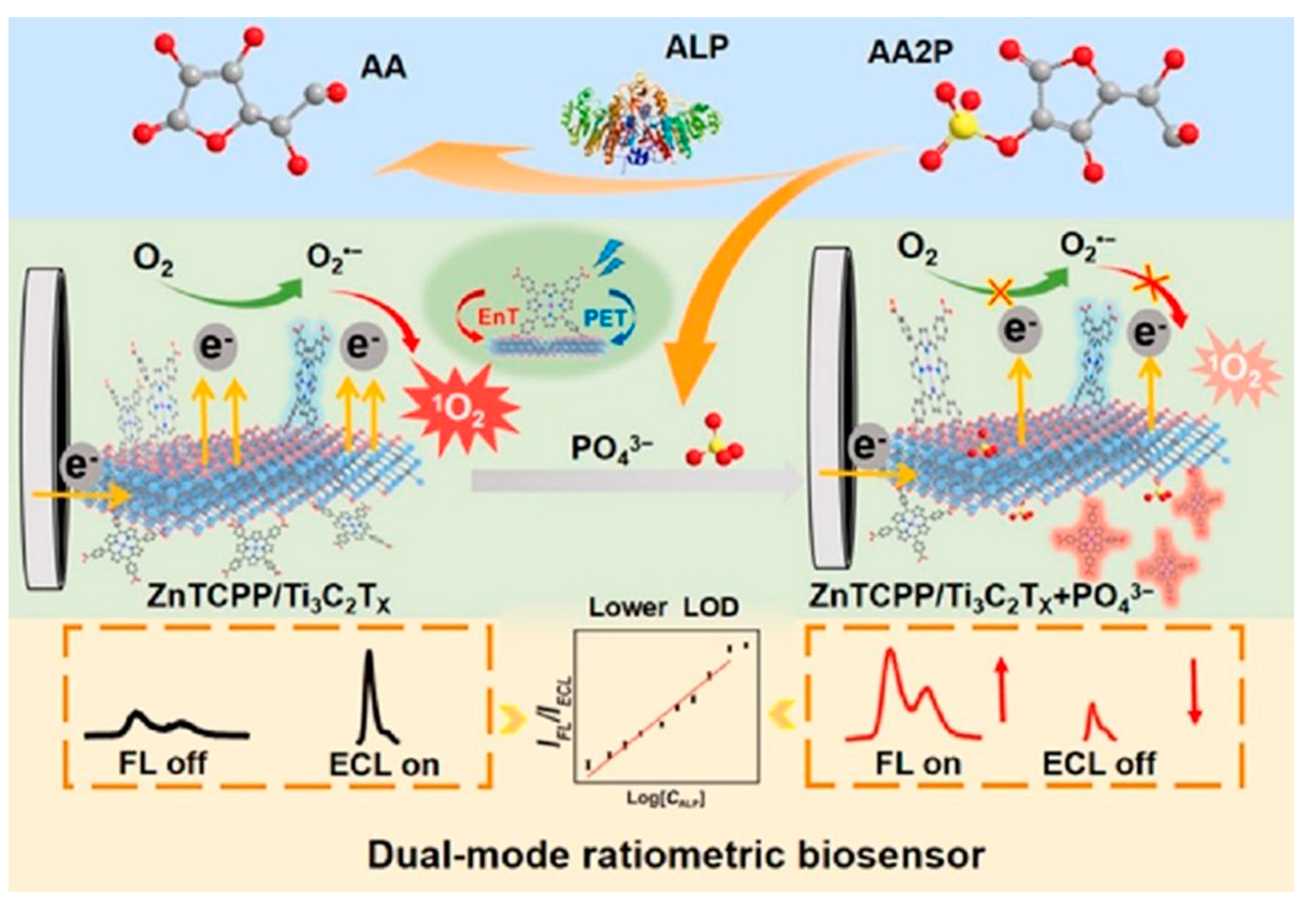 Biosensors 14 00497 g009