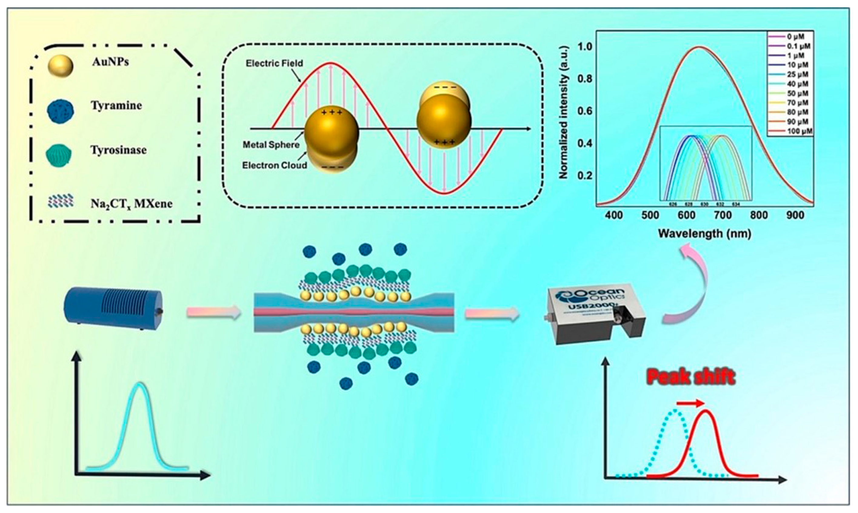 Biosensors 14 00497 g010
