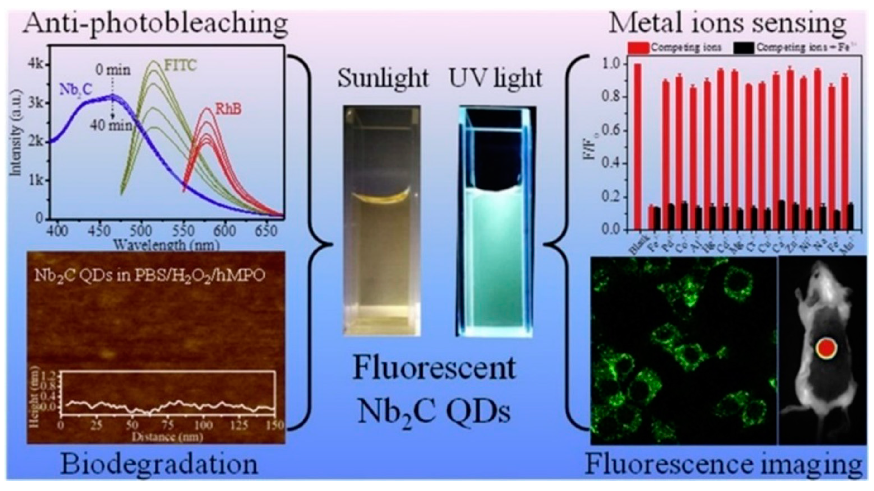Biosensors 14 00497 g011