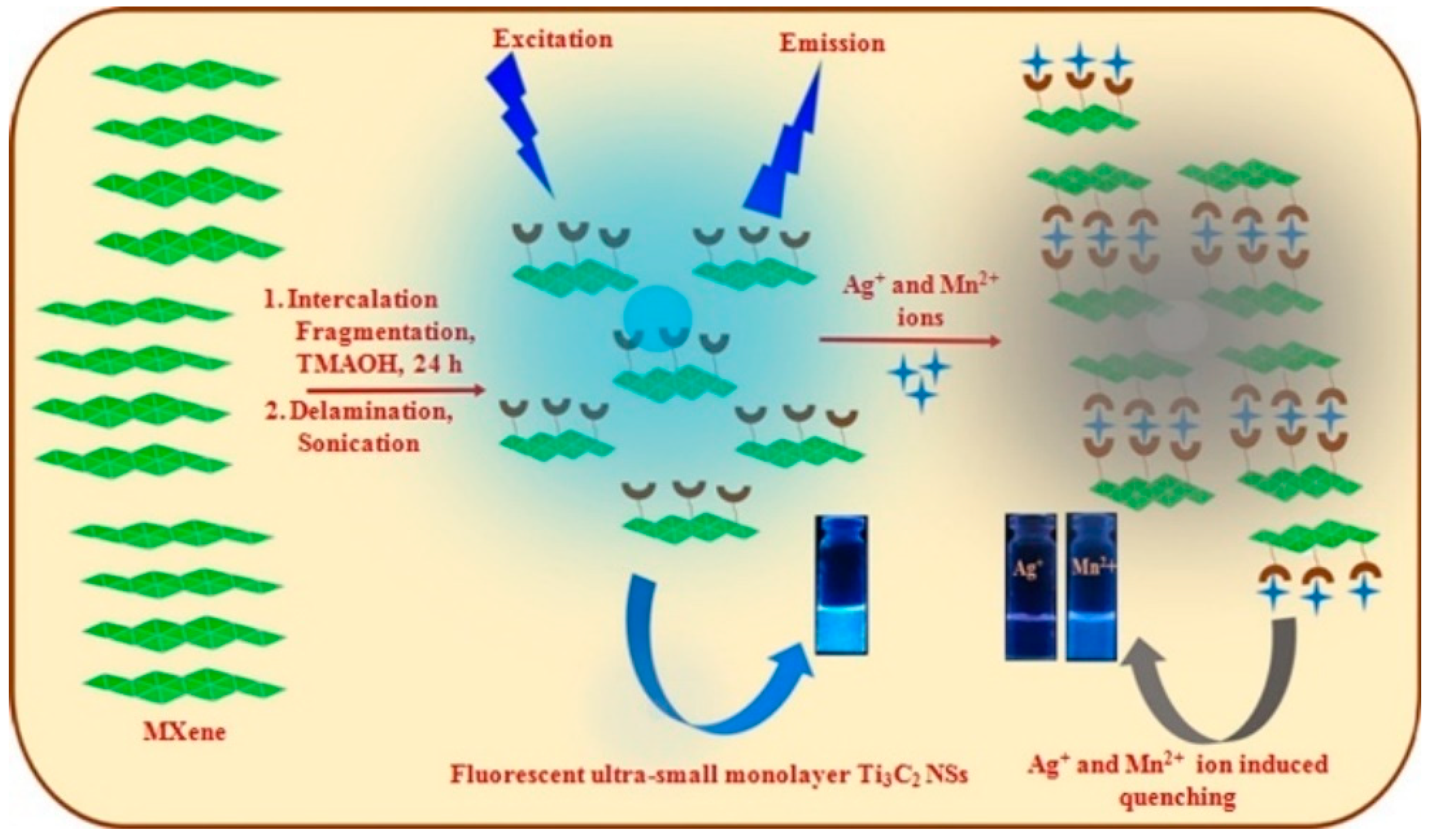Biosensors 14 00497 g012