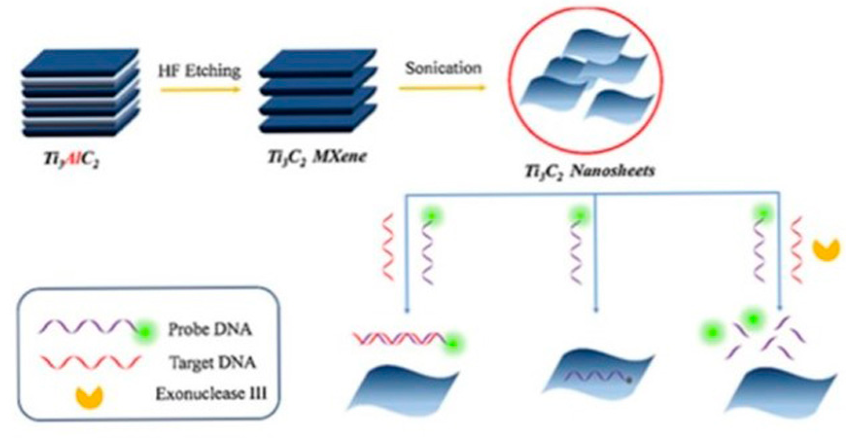 Biosensors 14 00497 g013