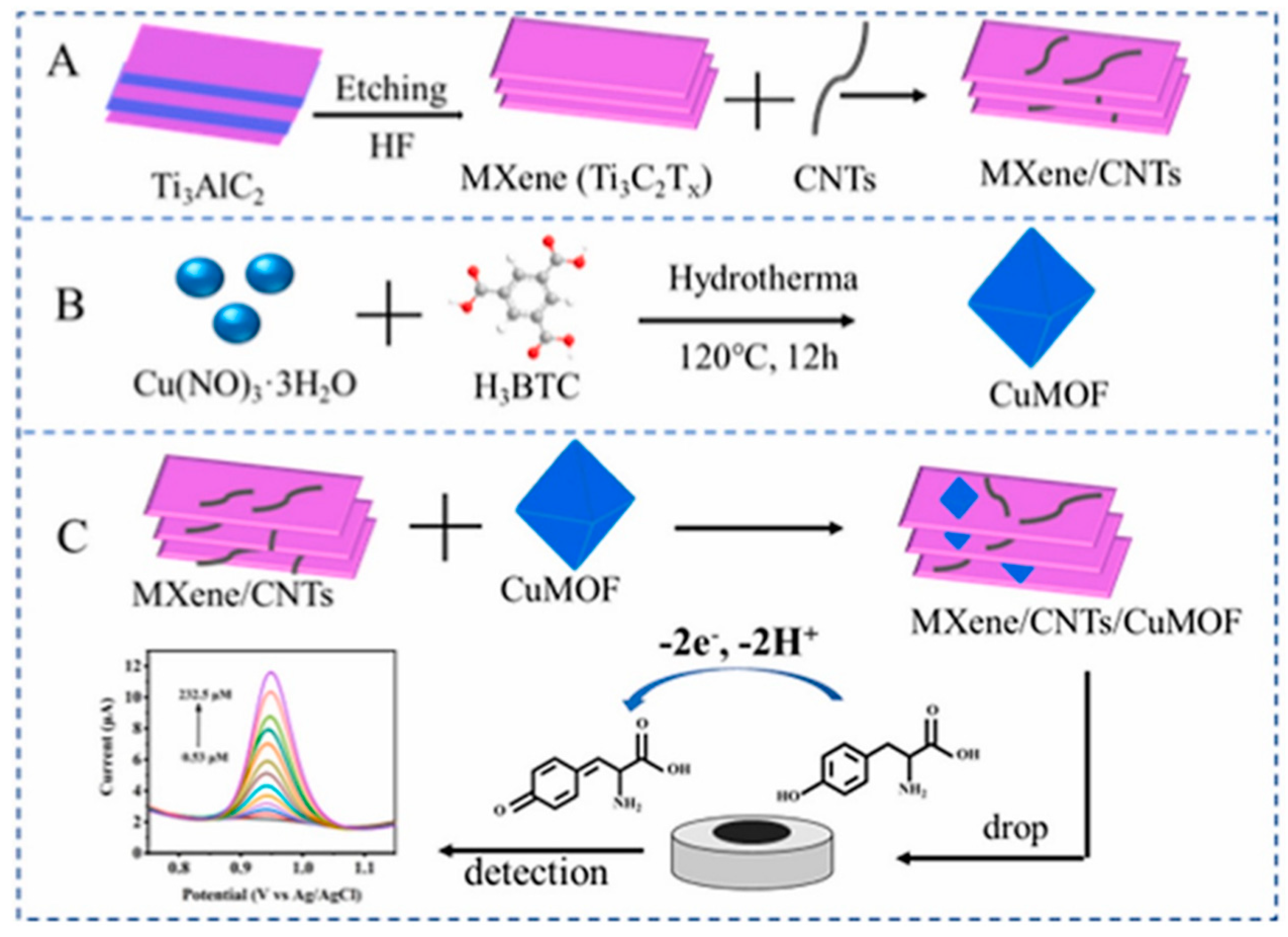 Biosensors 14 00497 g017