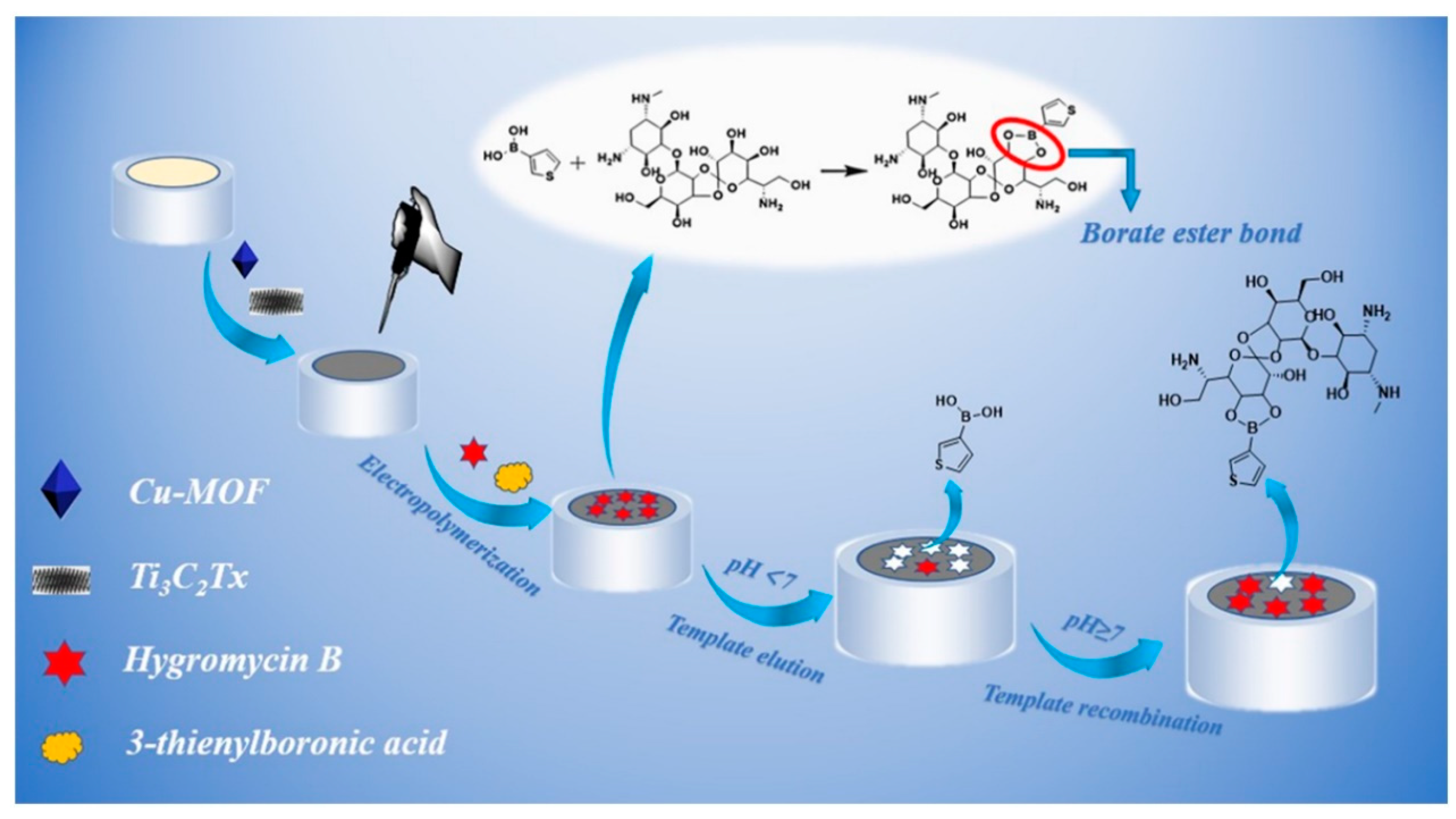 Biosensors 14 00497 g018